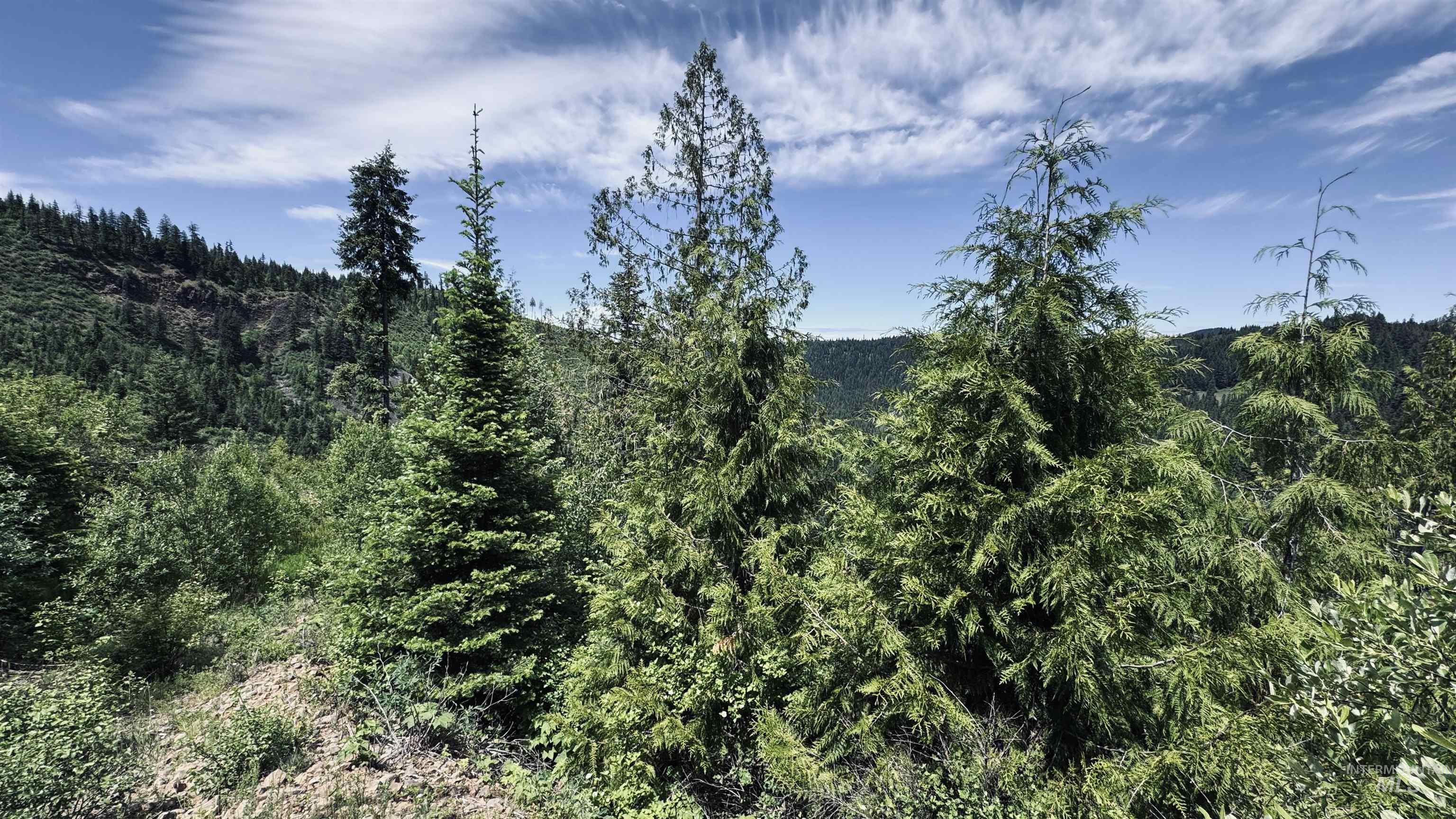 Tbd Glenwood Property Photo 30
