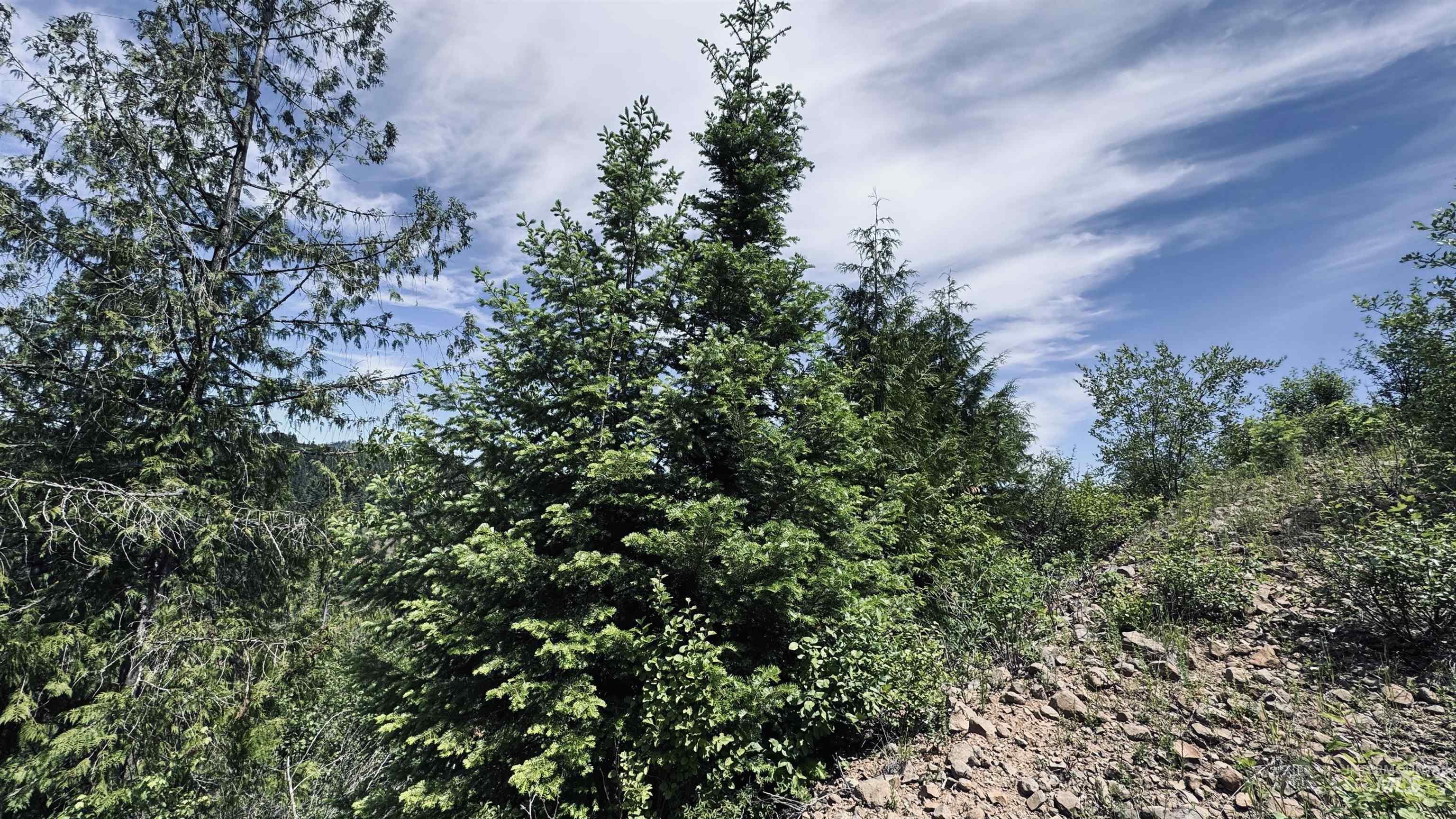 Tbd Glenwood Property Photo 31
