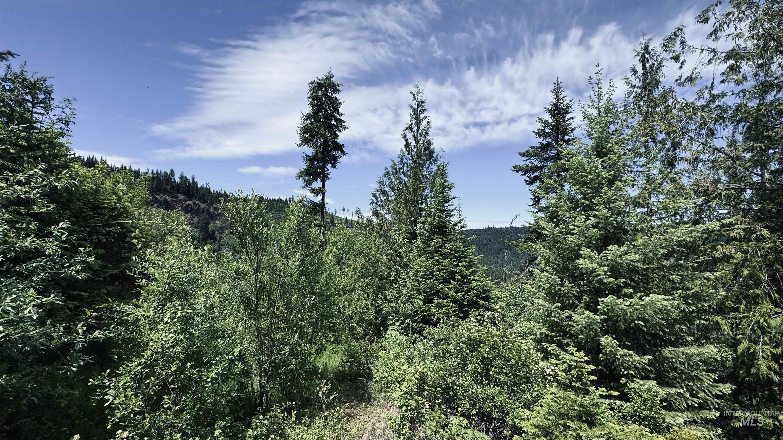 Tbd Glenwood Property Photo 32
