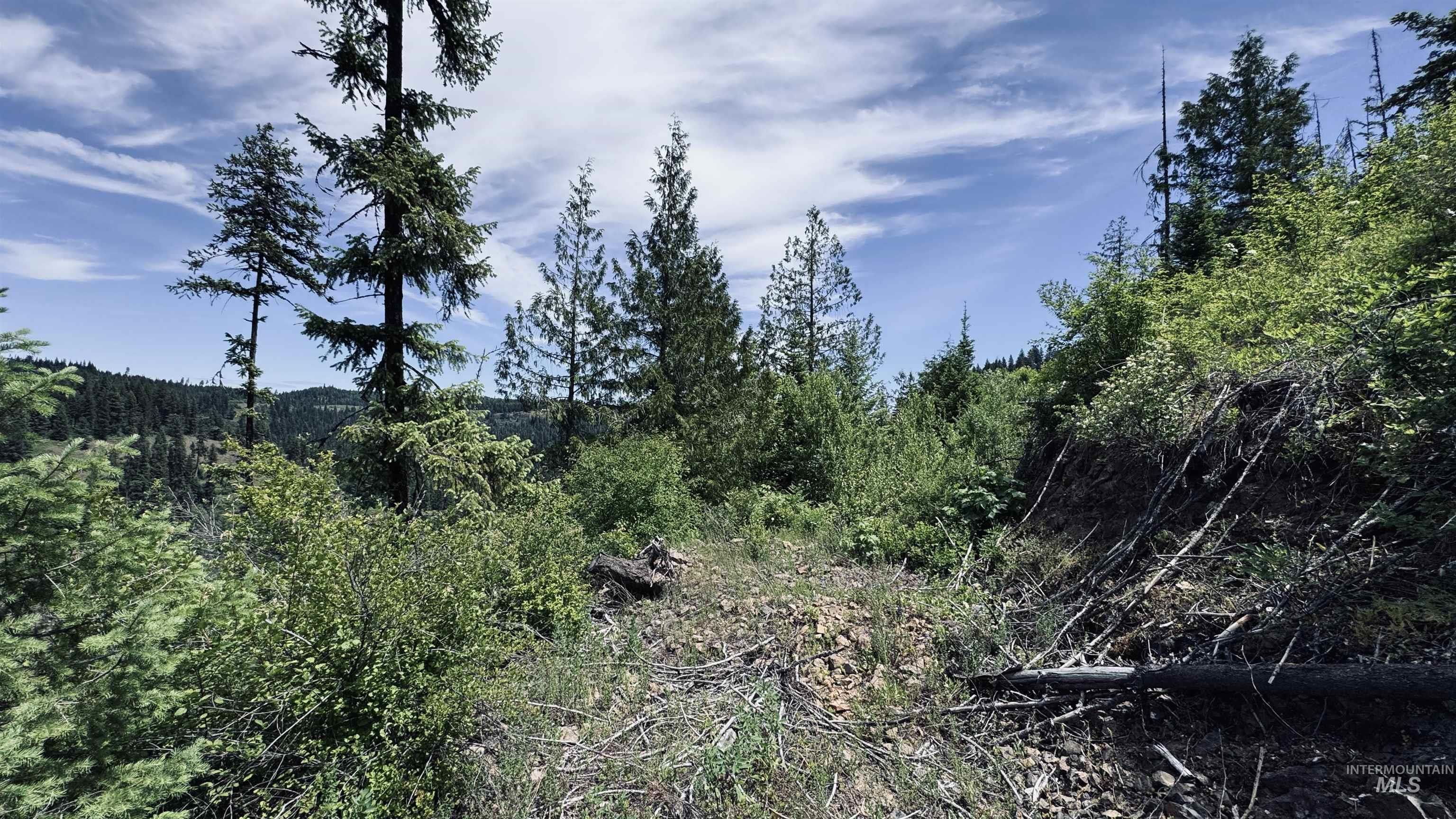 Tbd Glenwood Property Photo 34