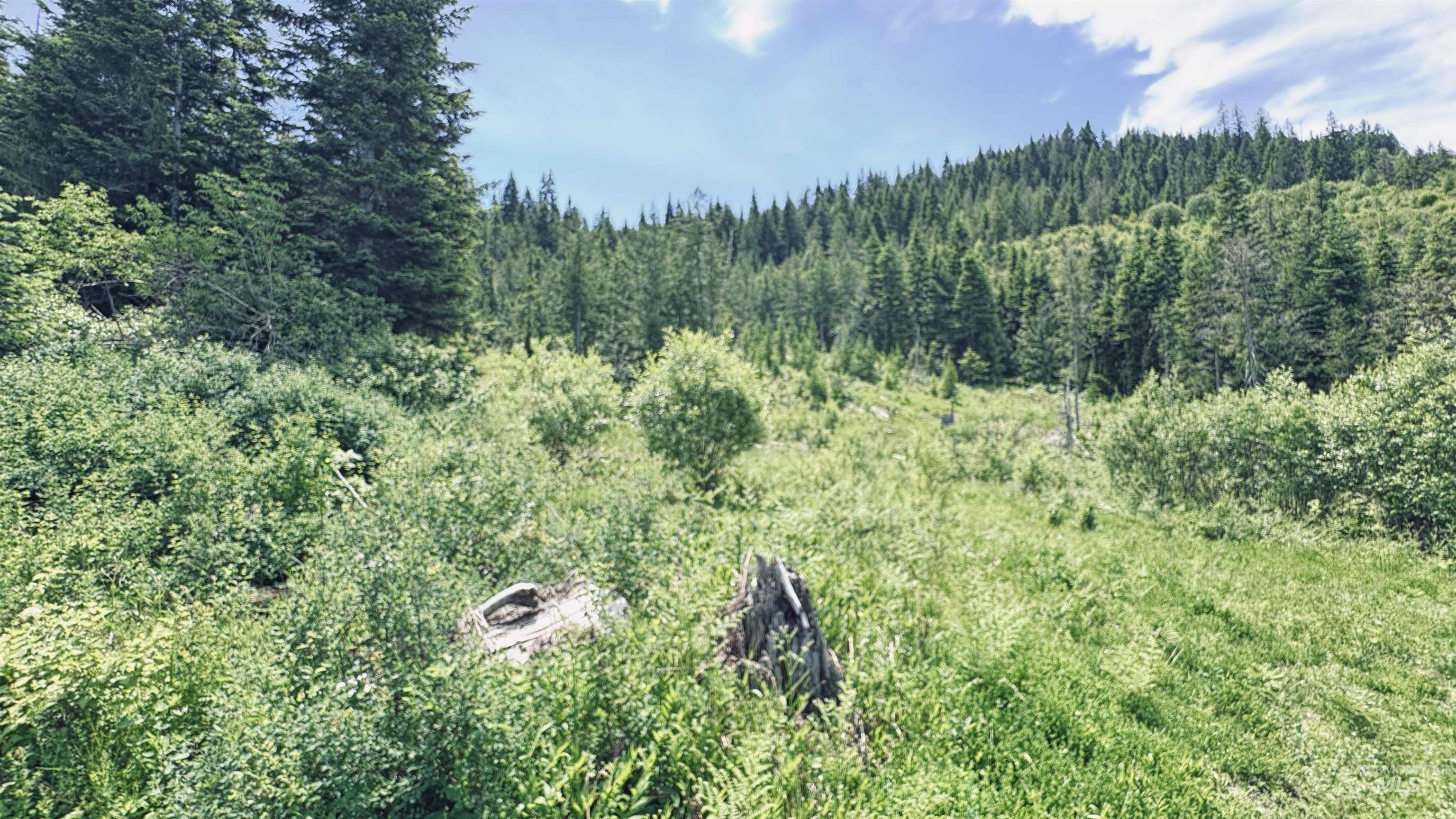 Tbd Glenwood Property Photo 38