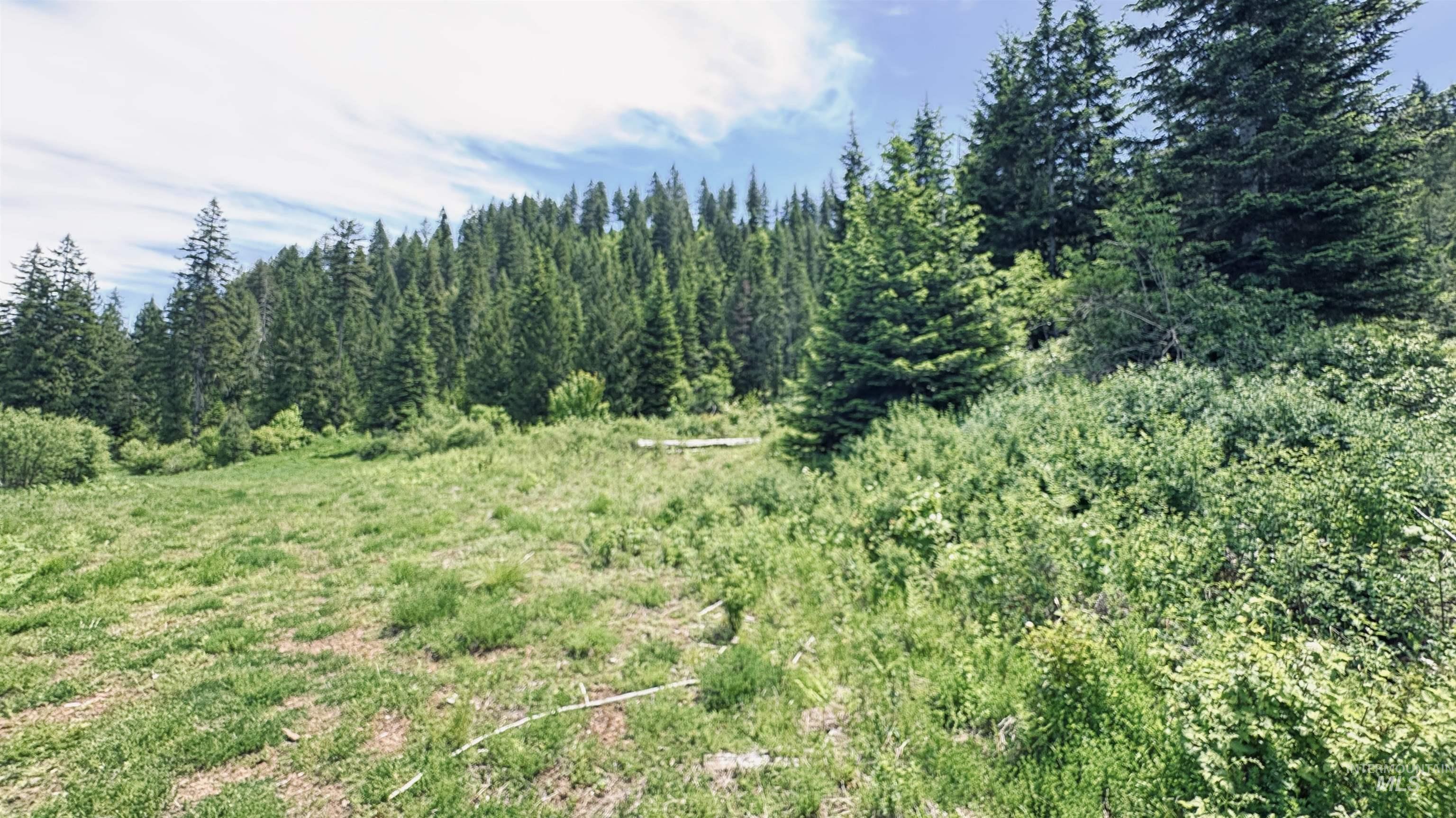 Tbd Glenwood Property Photo 39