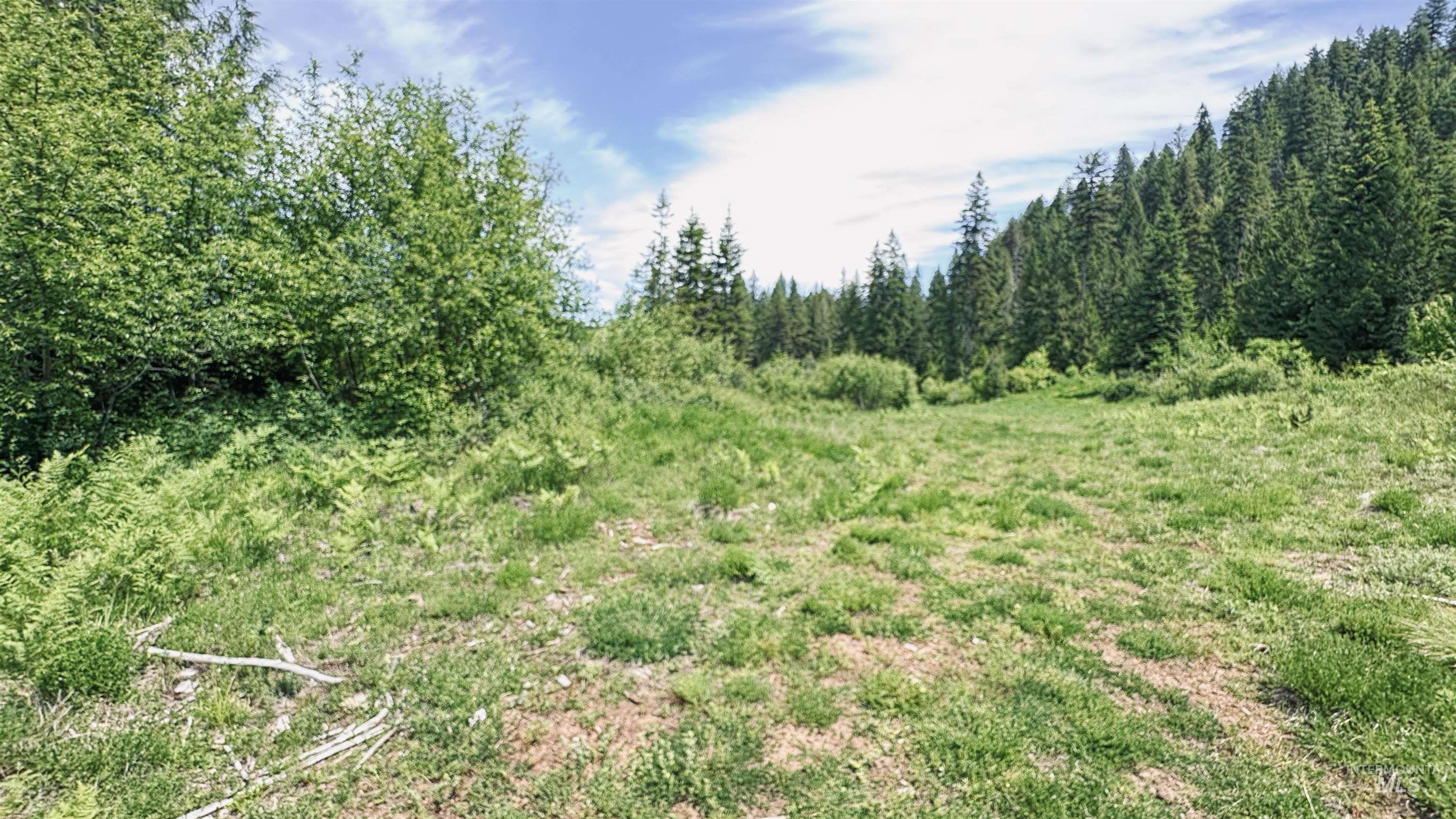 Tbd Glenwood Property Photo 41