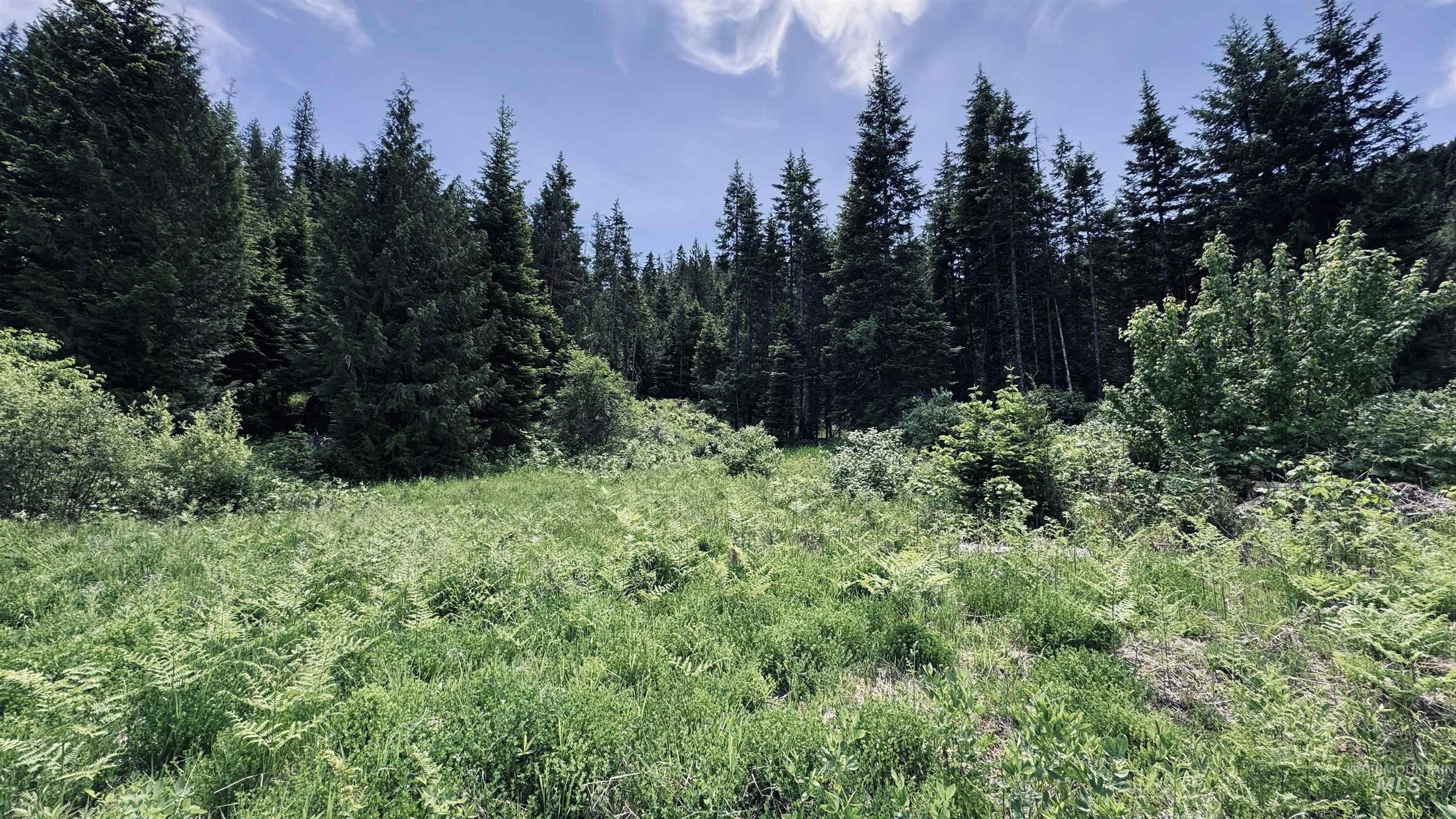 Tbd Glenwood Property Photo 42