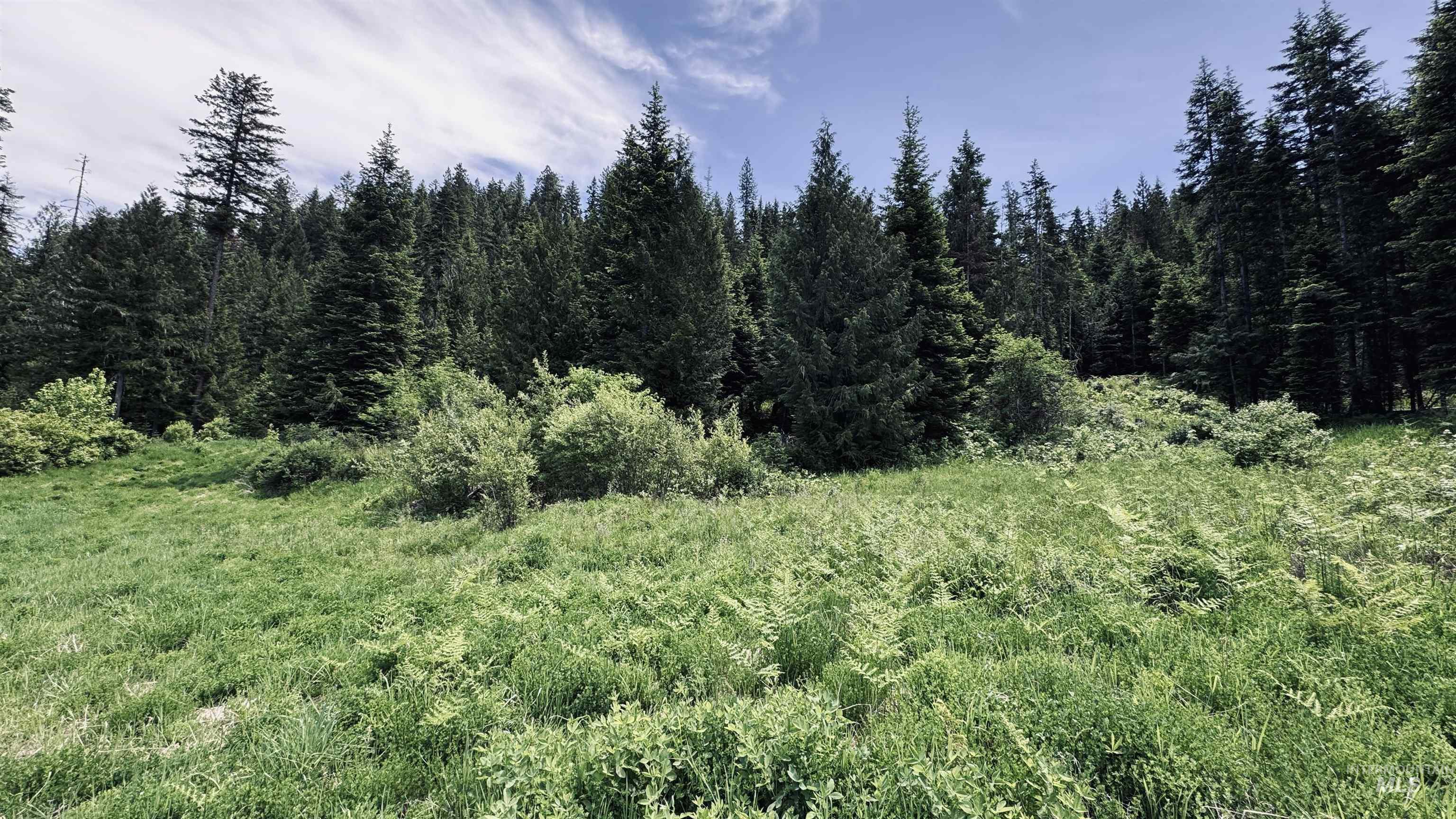 Tbd Glenwood Property Photo 43