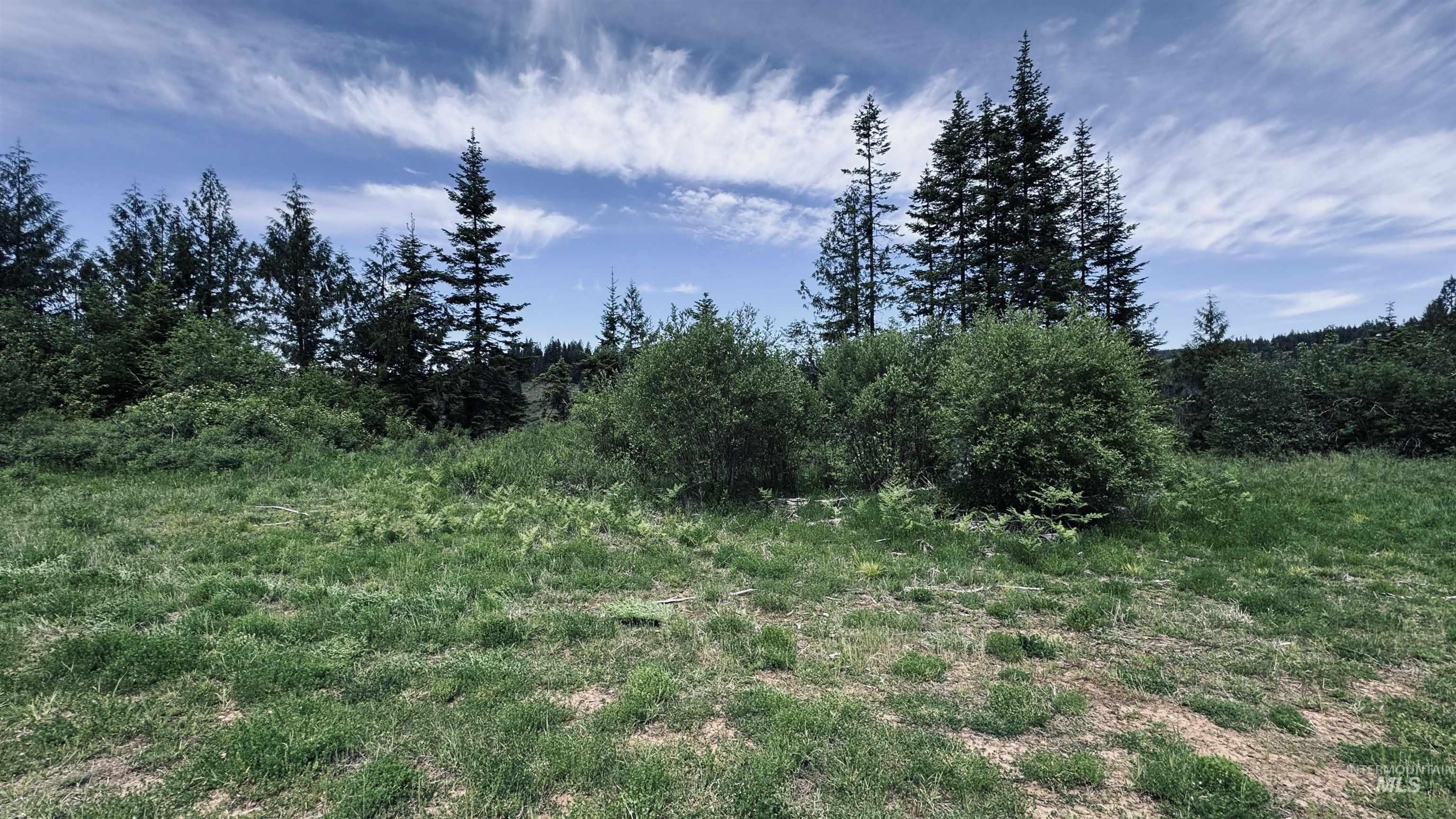 Tbd Glenwood Property Photo 45