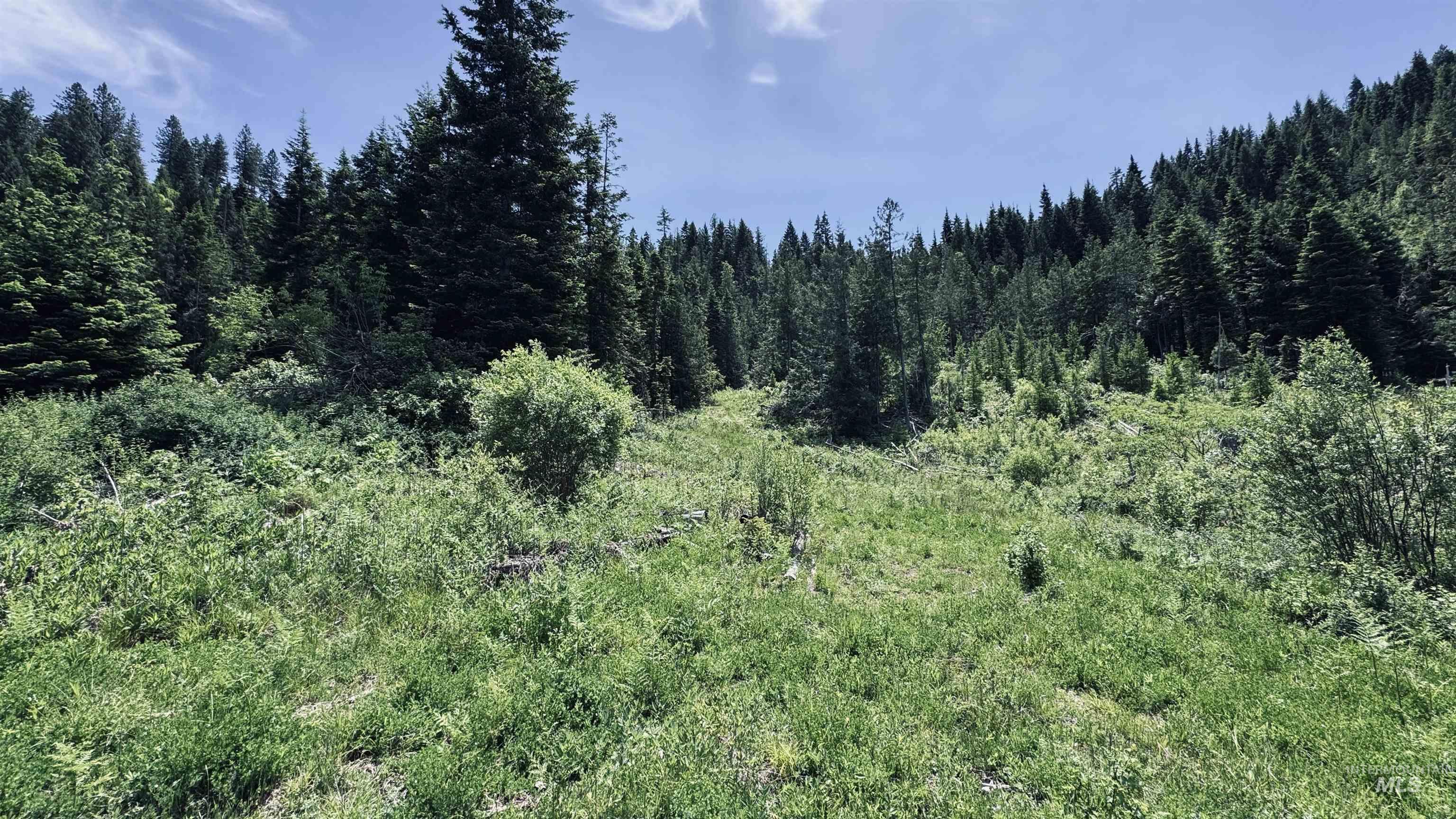 Tbd Glenwood Property Photo 48