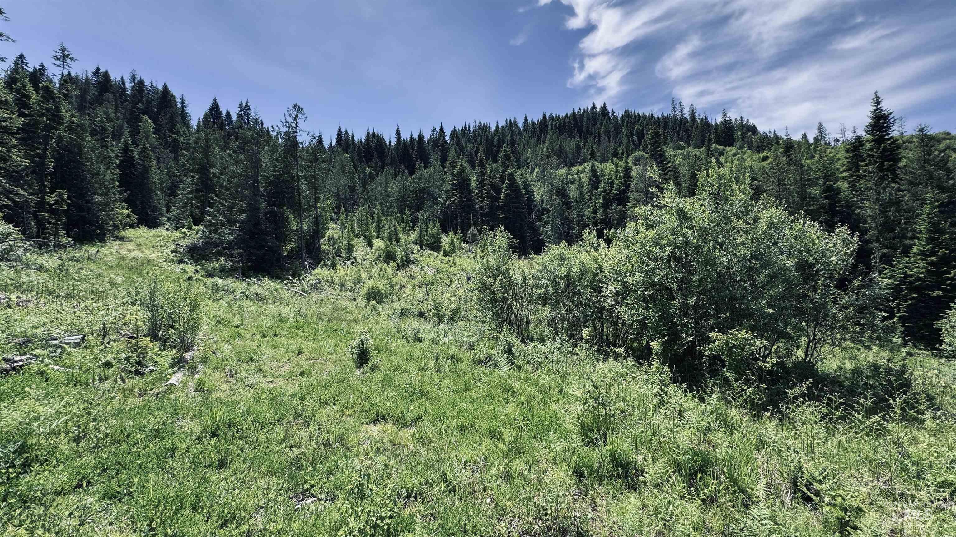 Tbd Glenwood Property Photo 49