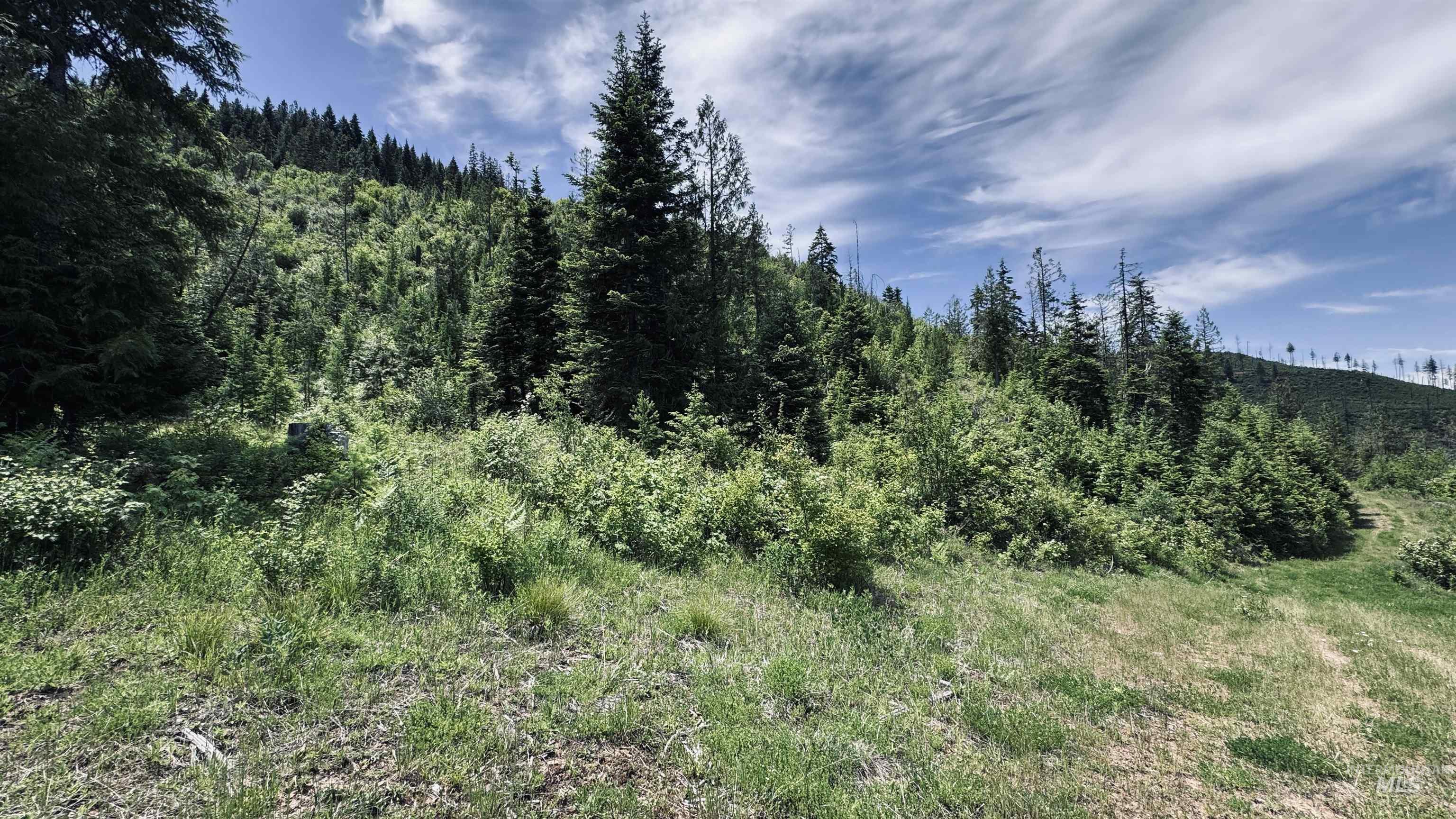 Tbd Glenwood Property Photo 50