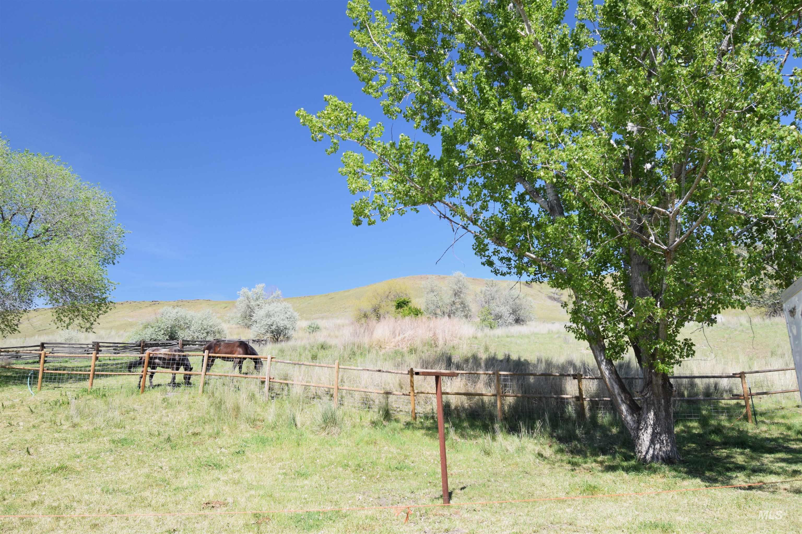 114 Paddock Valley Rd Property Photo 23