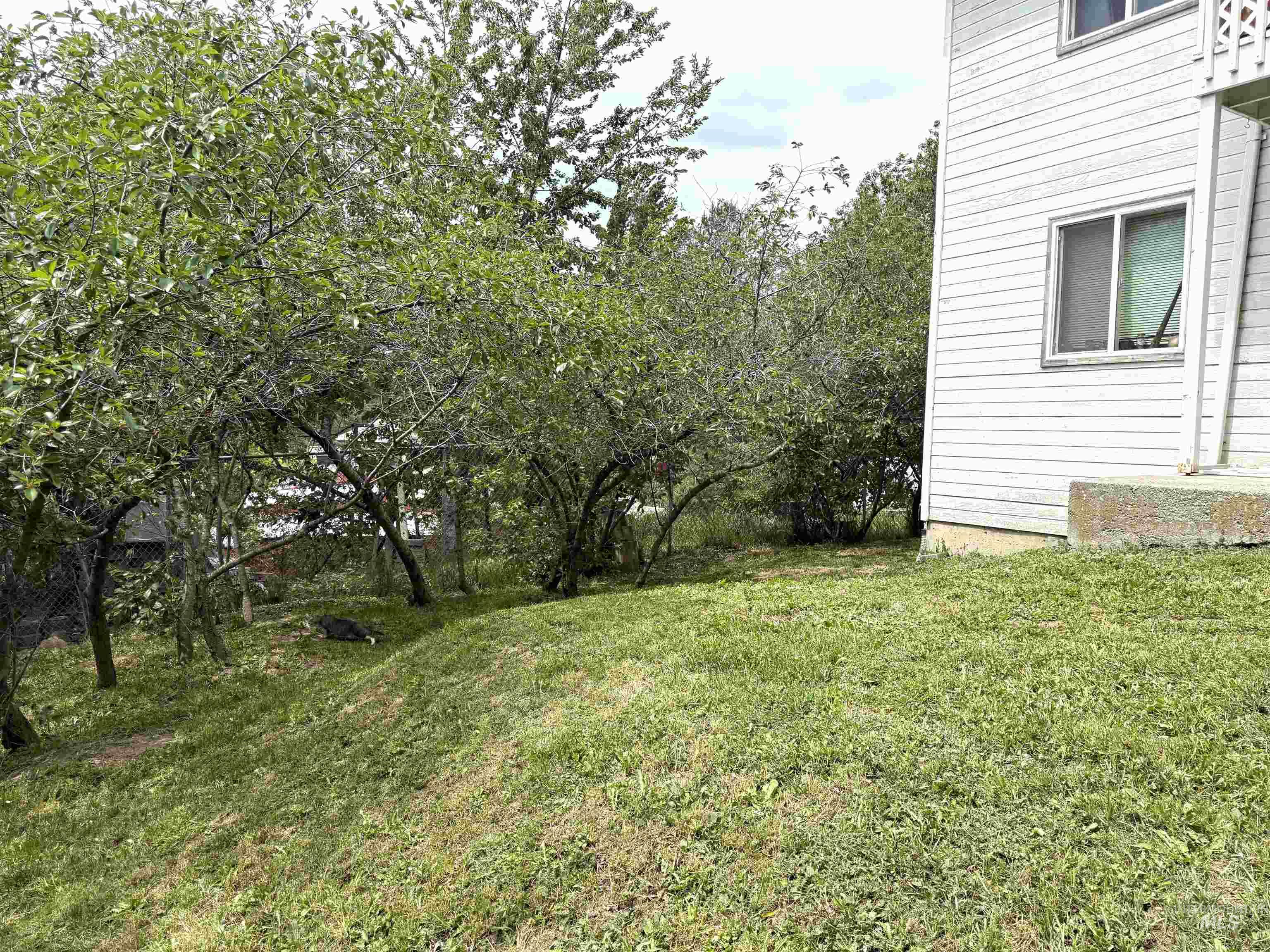 725 / 727 Brent Dr. Property Photo 4