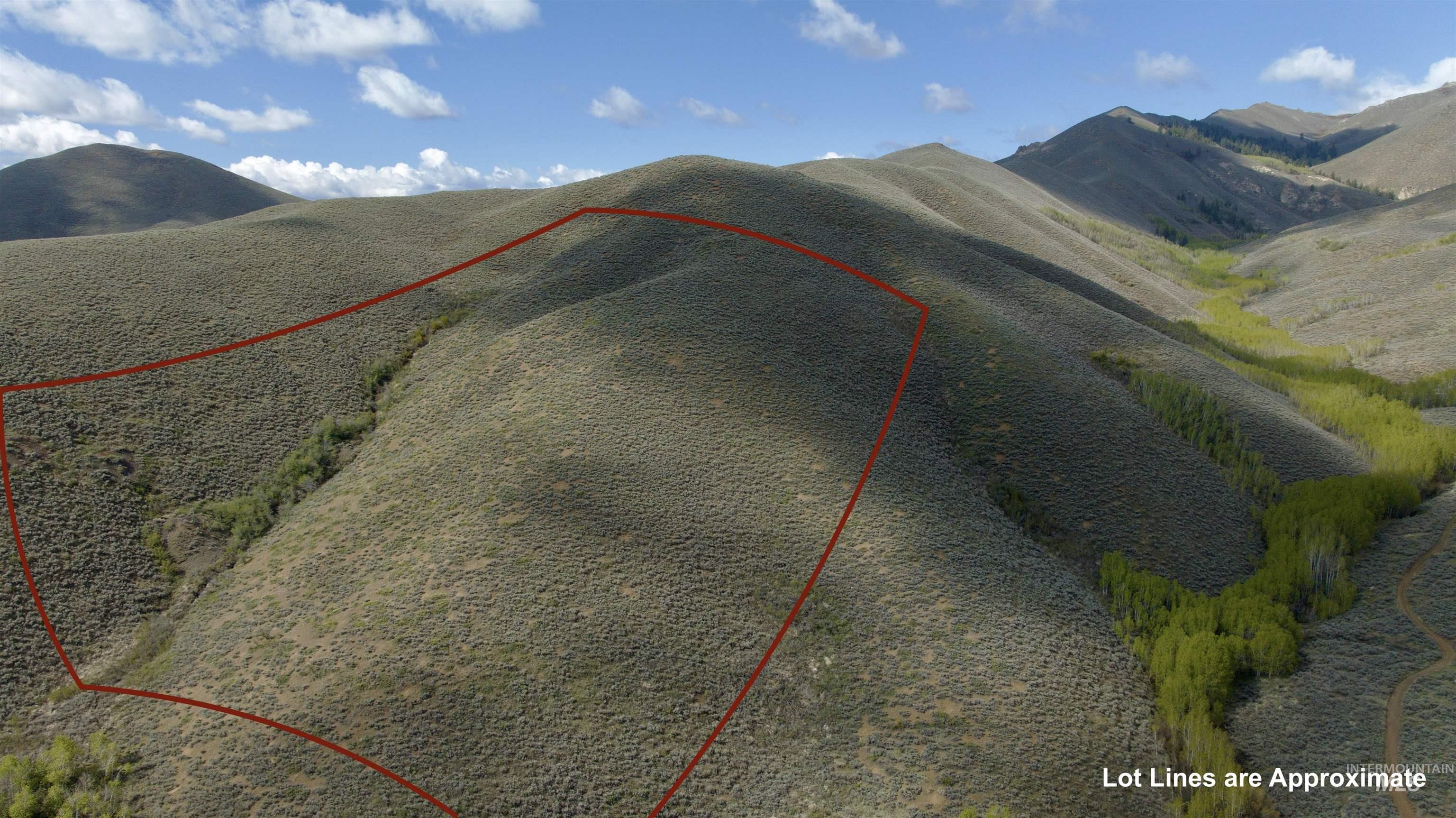 Tbd Lees Gulch Rd Property Photo 1
