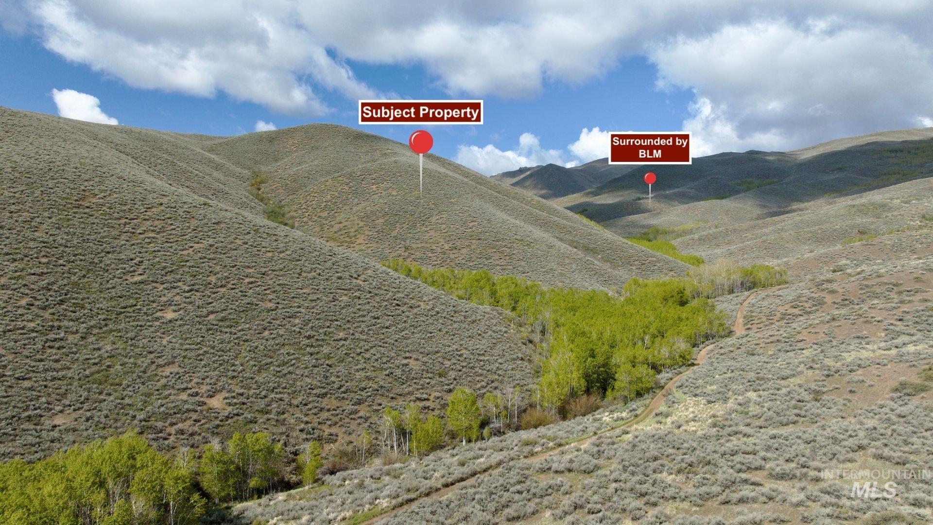 Tbd Lees Gulch Rd Property Photo 6
