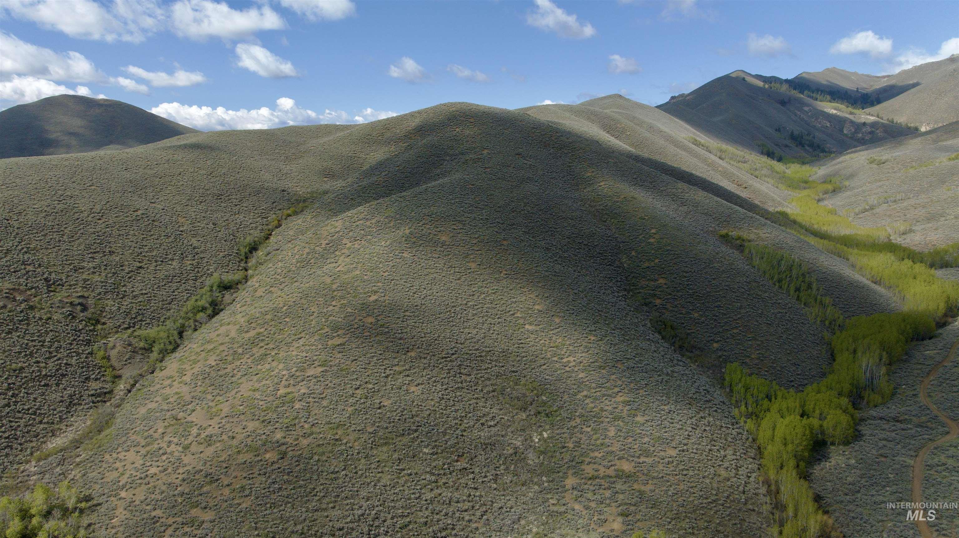 Tbd Lees Gulch Rd Property Photo 7