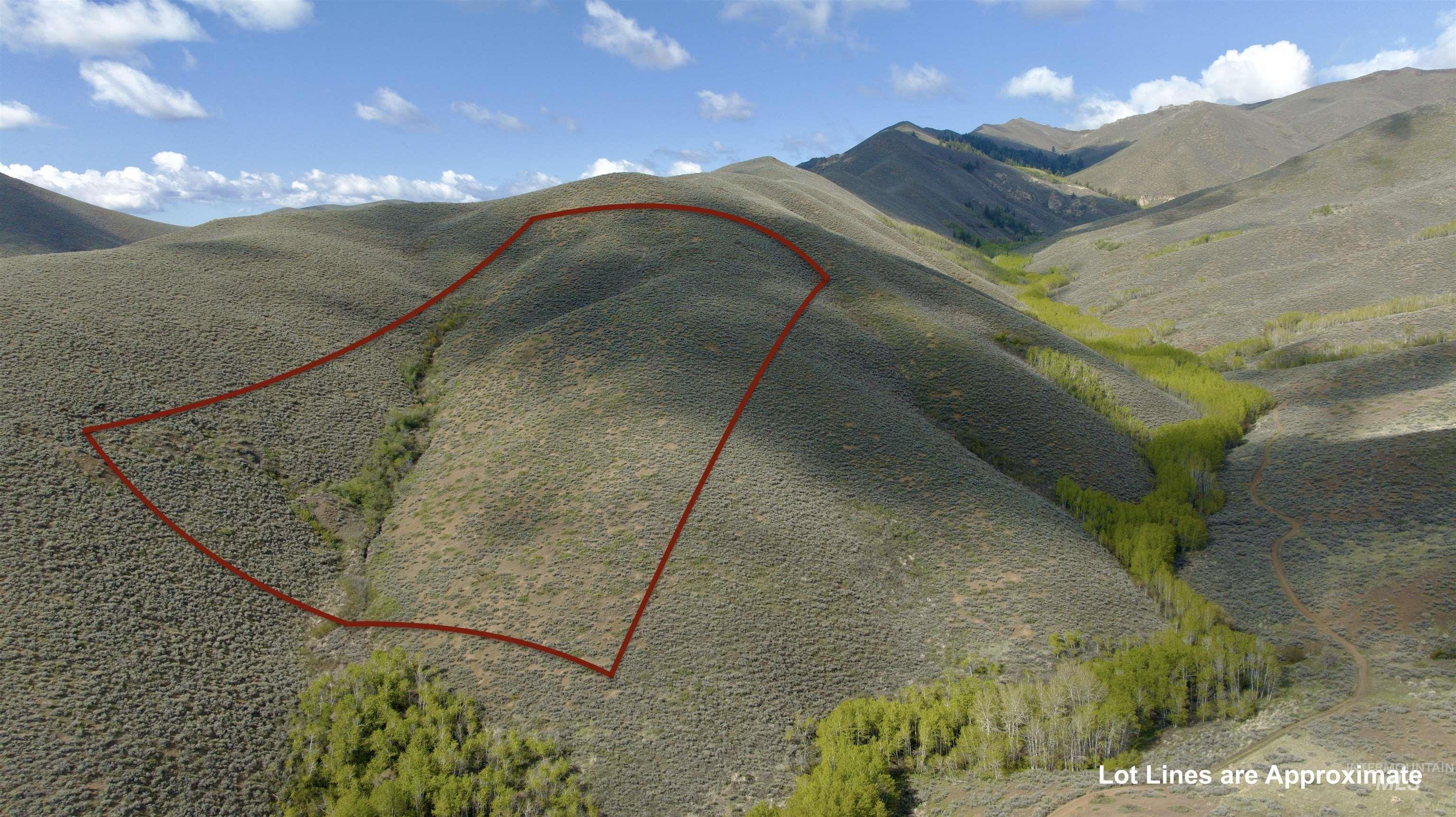 Tbd Lees Gulch Rd Property Photo 8