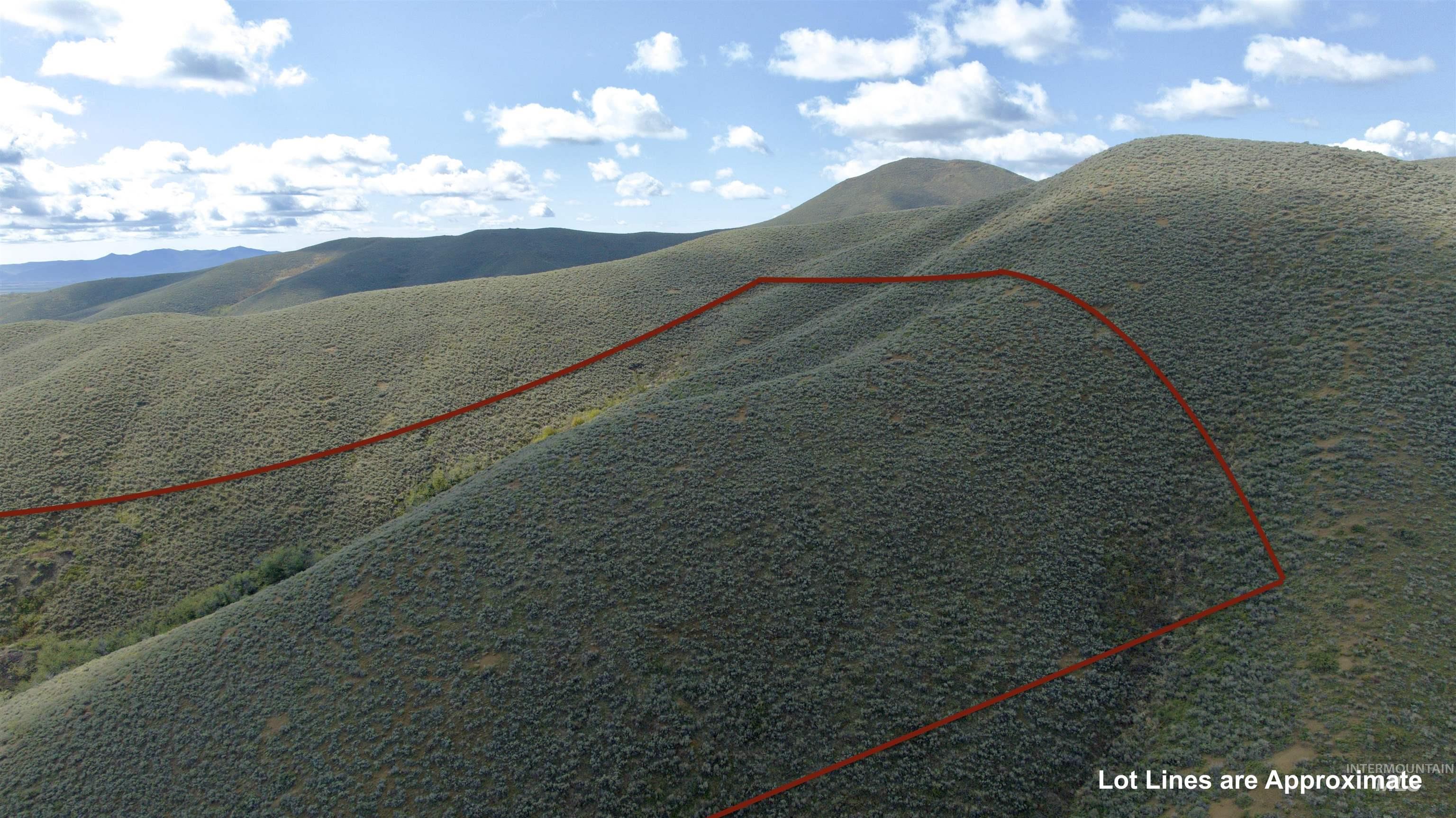 Tbd Lees Gulch Rd Property Photo 9