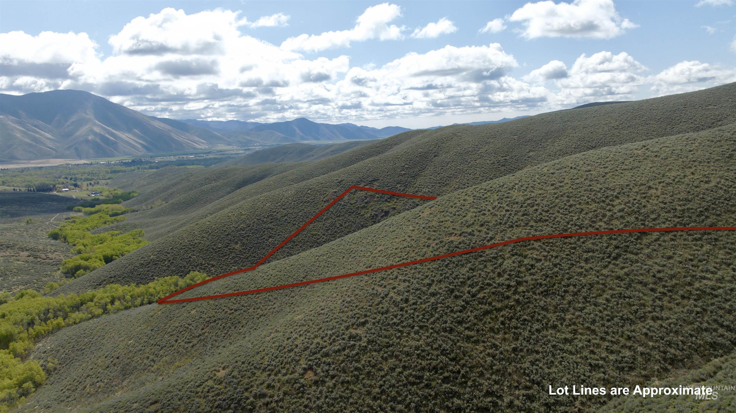 Tbd Lees Gulch Rd Property Photo 10