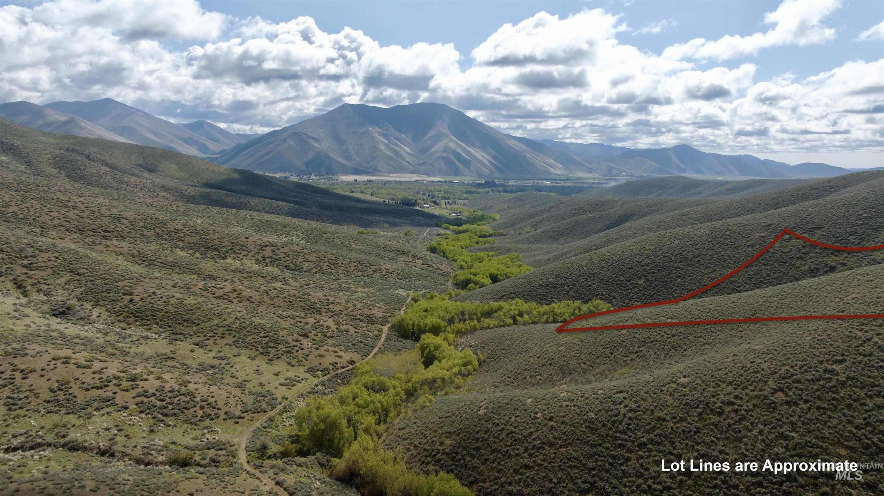 Tbd Lees Gulch Rd Property Photo 11