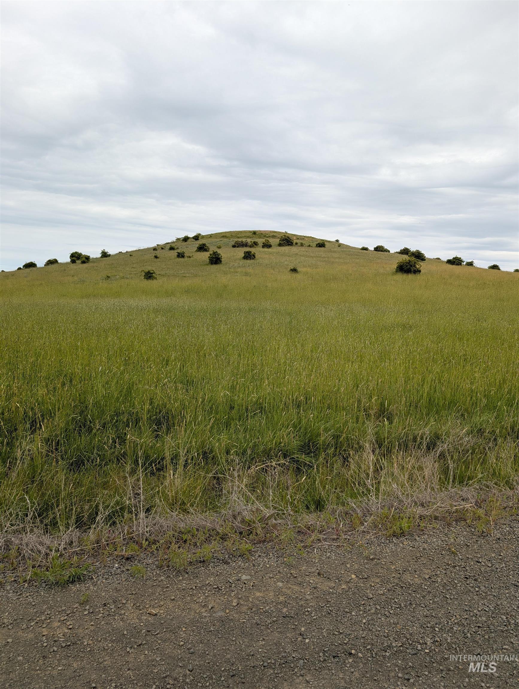 Tbd Windrow Lane & Stillwater Road Property Photo 3