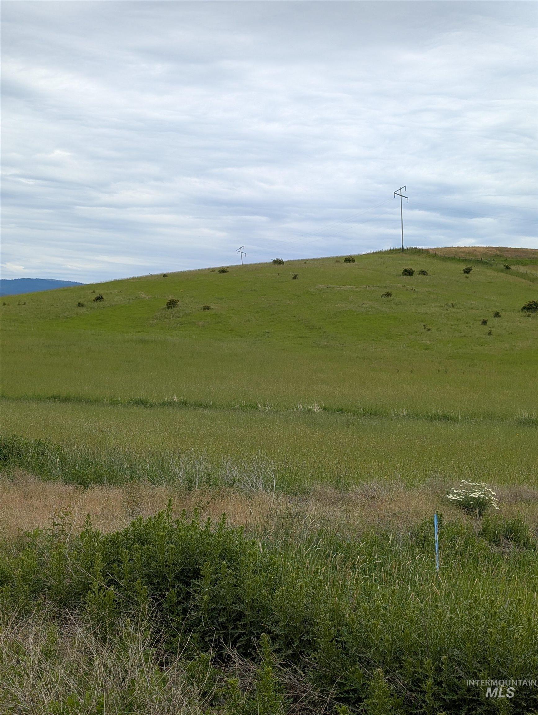 Tbd Windrow Lane & Stillwater Road Property Photo 4