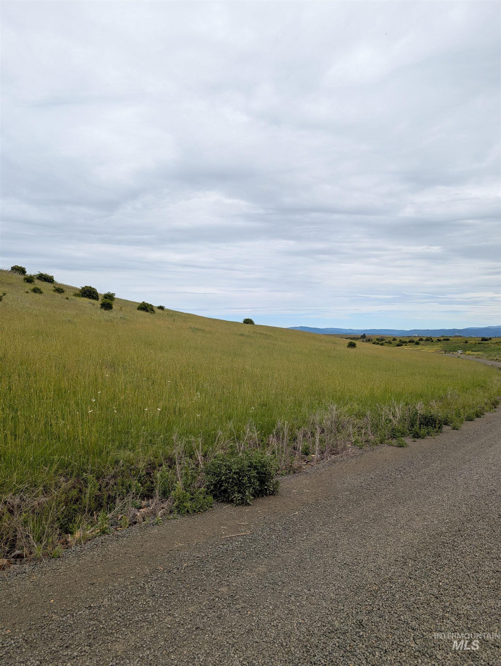 Tbd Windrow Lane & Stillwater Road Property Photo 6