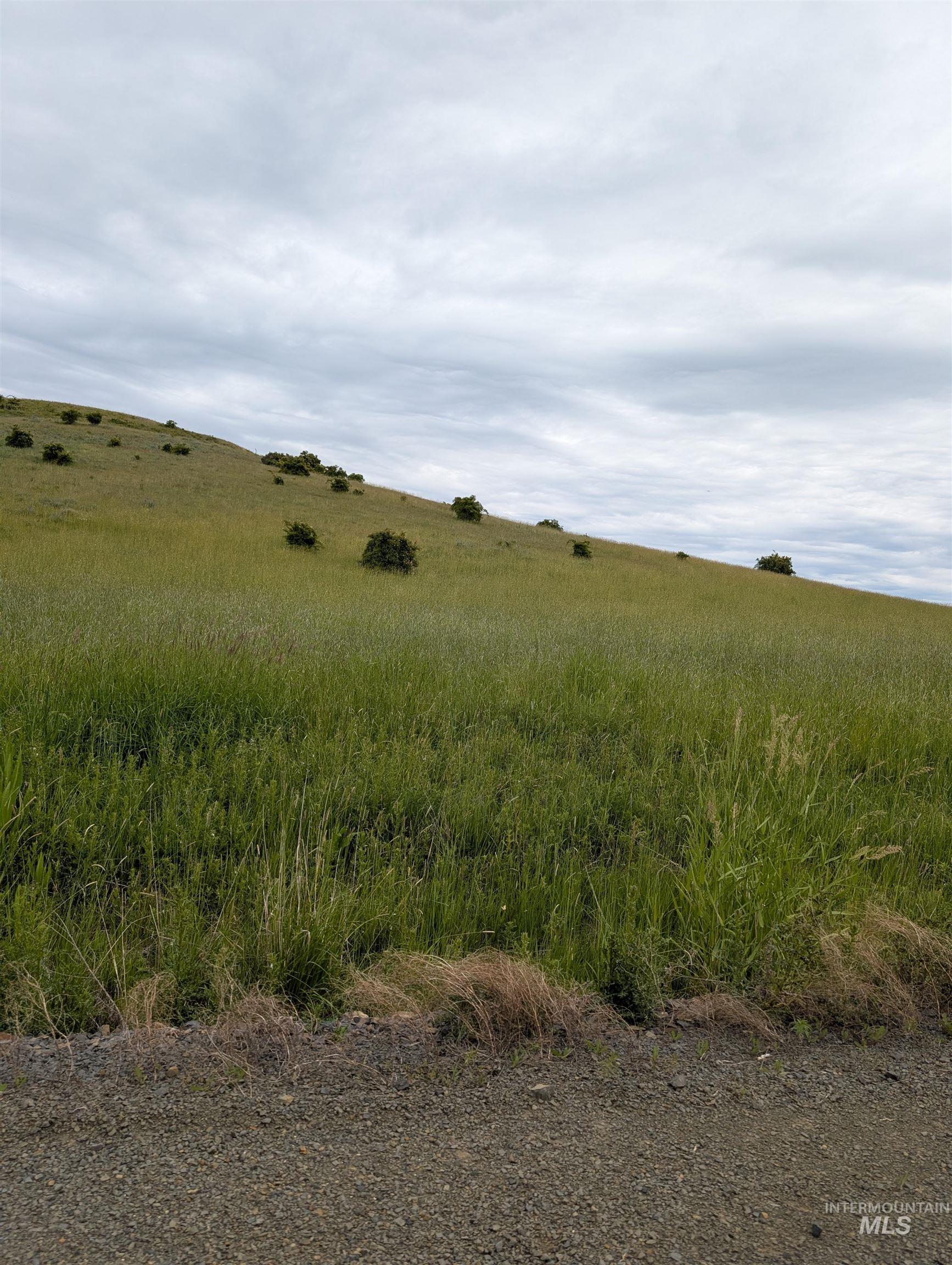 Tbd Windrow Lane & Stillwater Road Property Photo 11