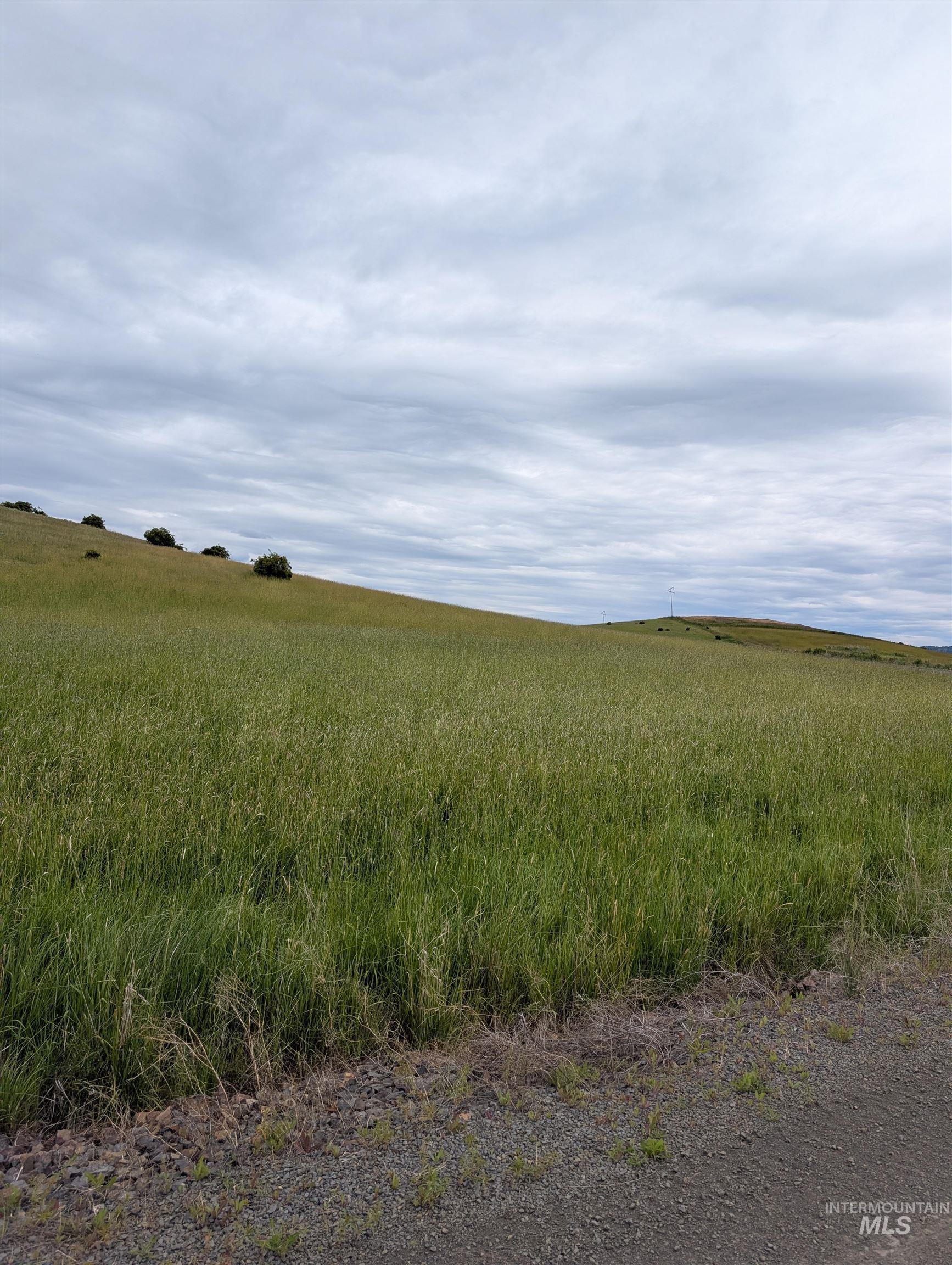 Tbd Windrow Lane & Stillwater Road Property Photo 13