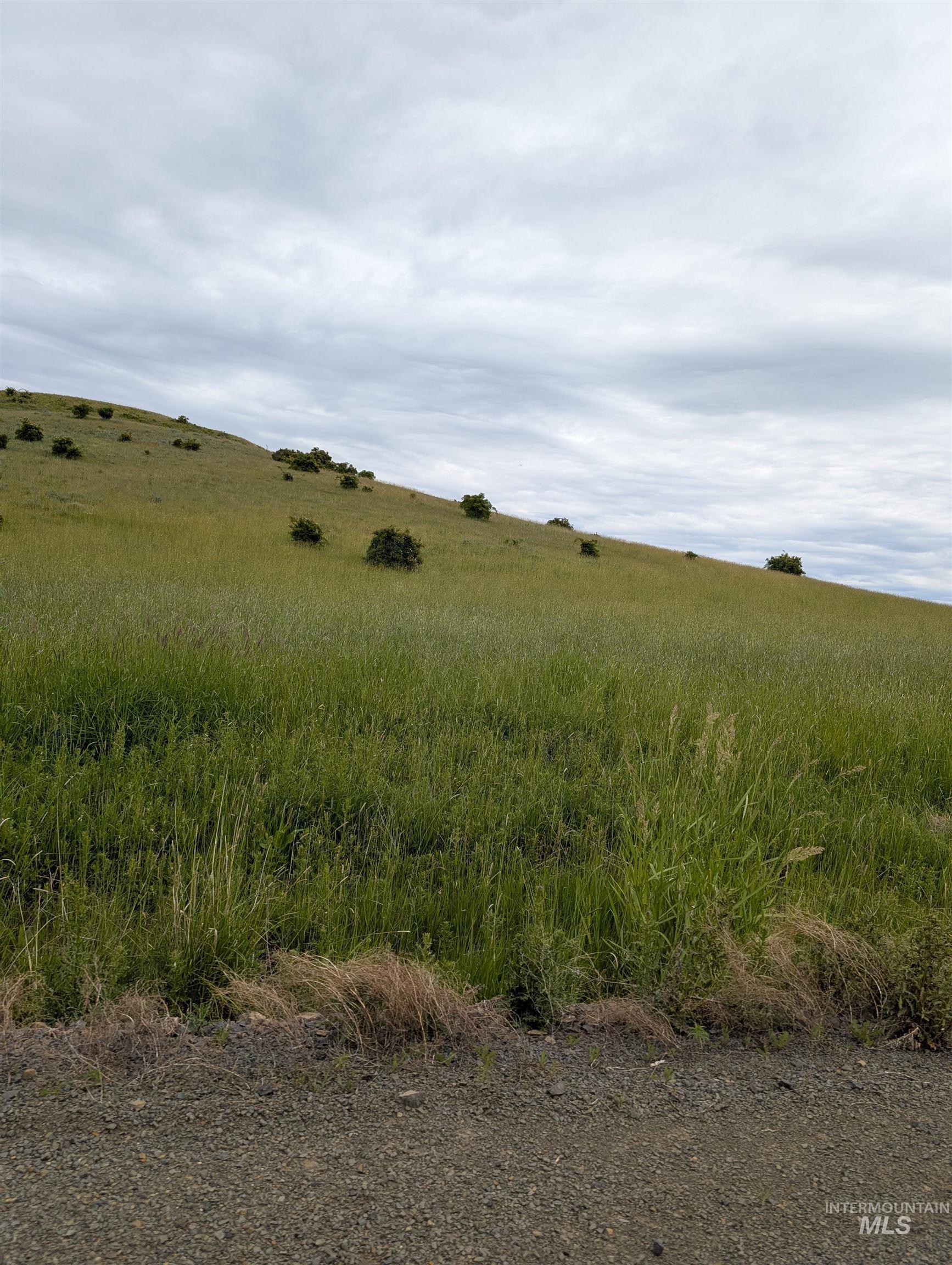Tbd Windrow Lane & Stillwater Road Property Photo 14