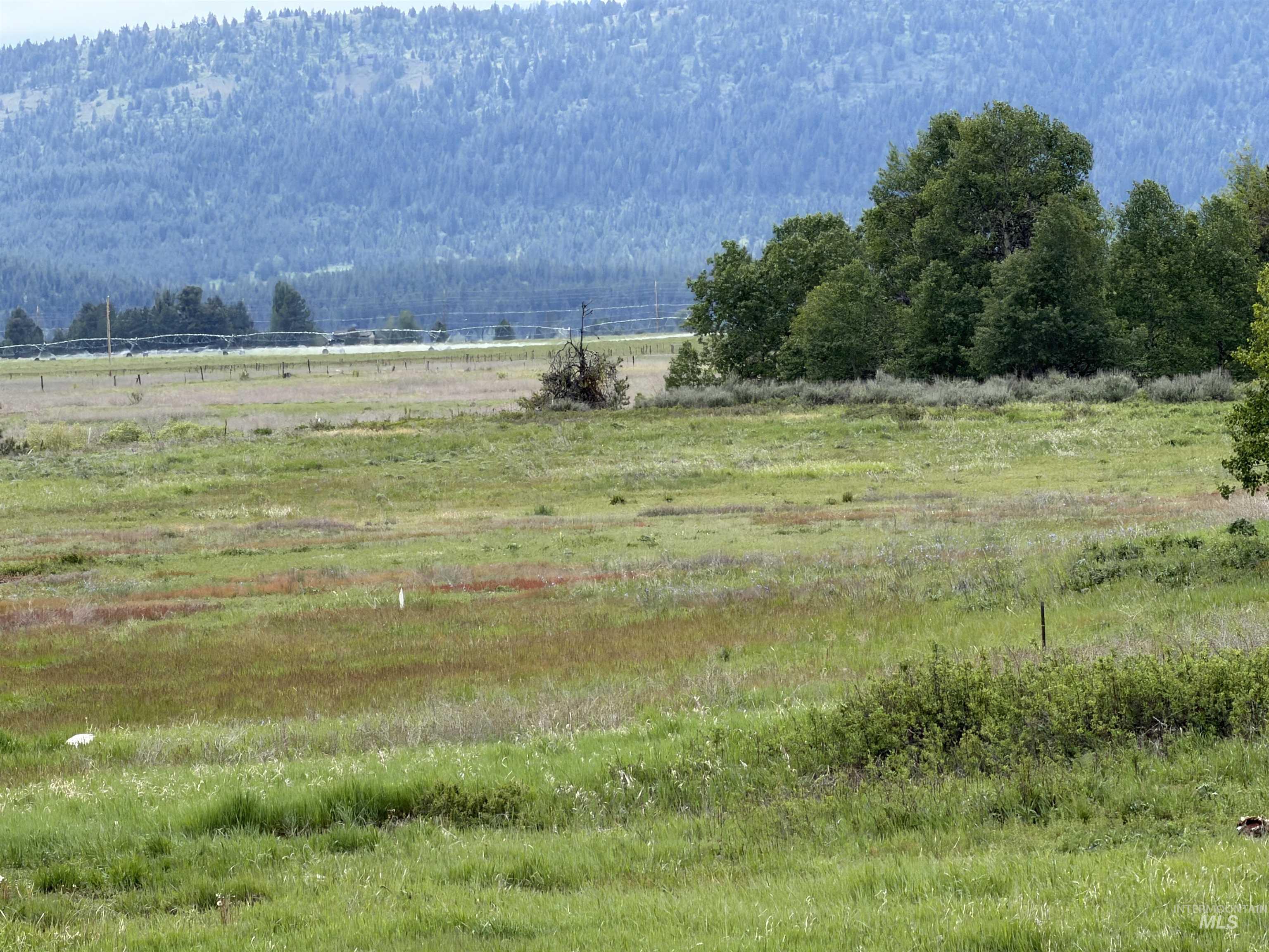 14031 Hwy 55 Property Photo 2