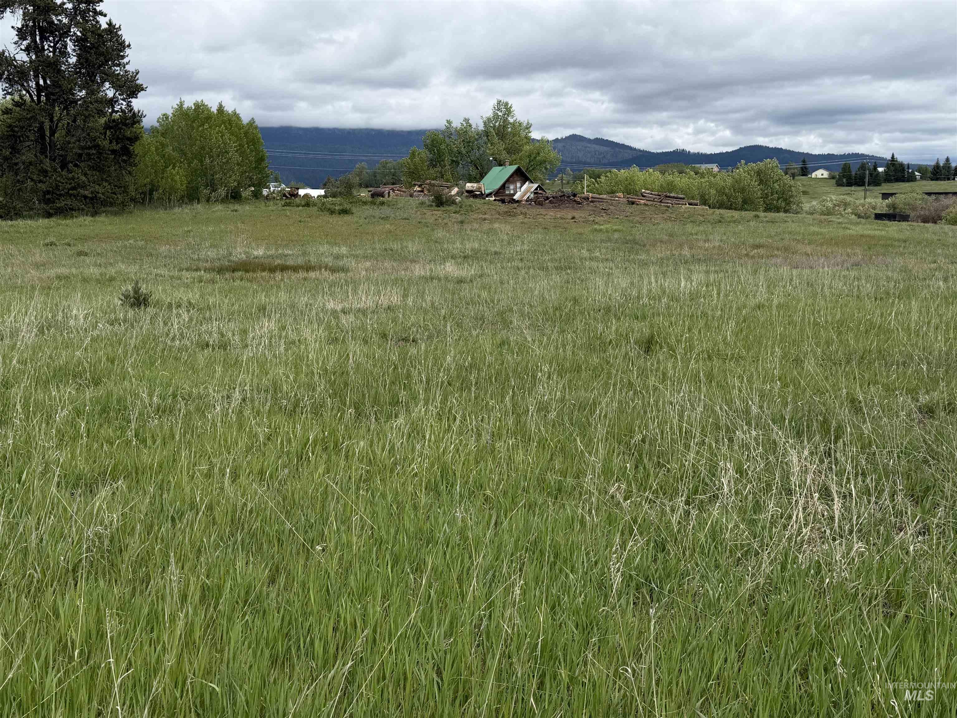 14031 Hwy 55 Property Photo 3