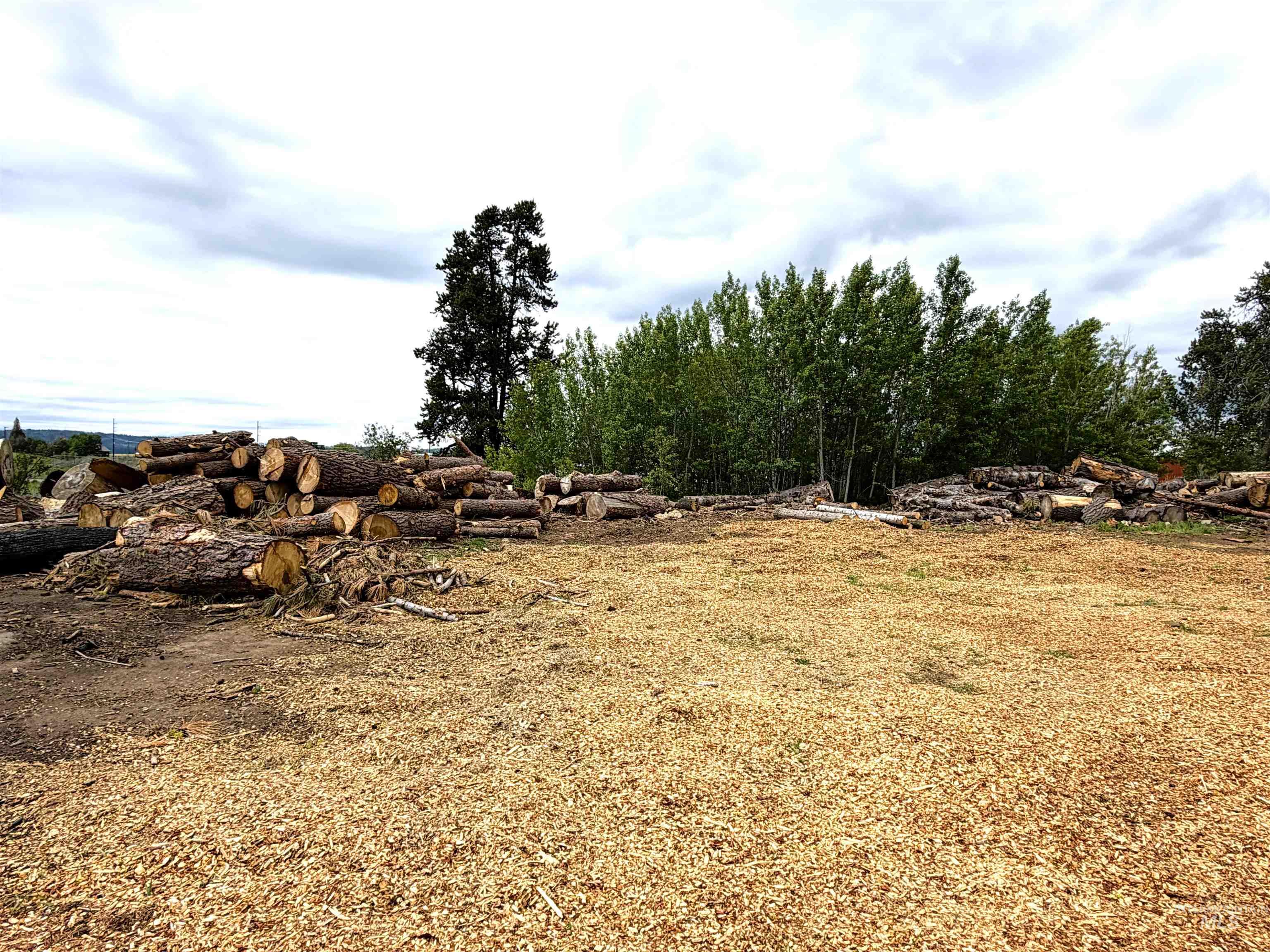 14031 Hwy 55 Property Photo 4