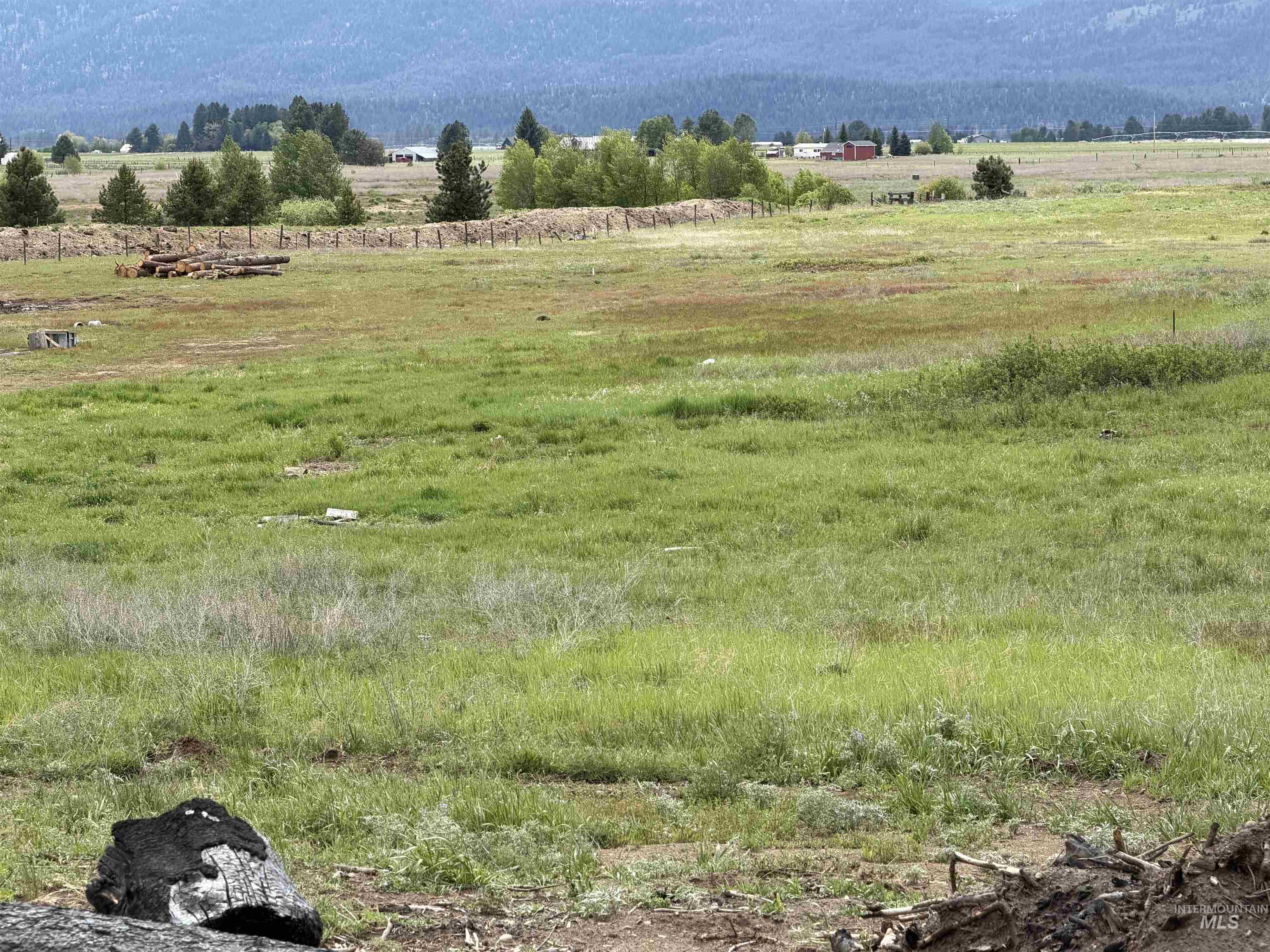 14031 Hwy 55 Property Photo 5