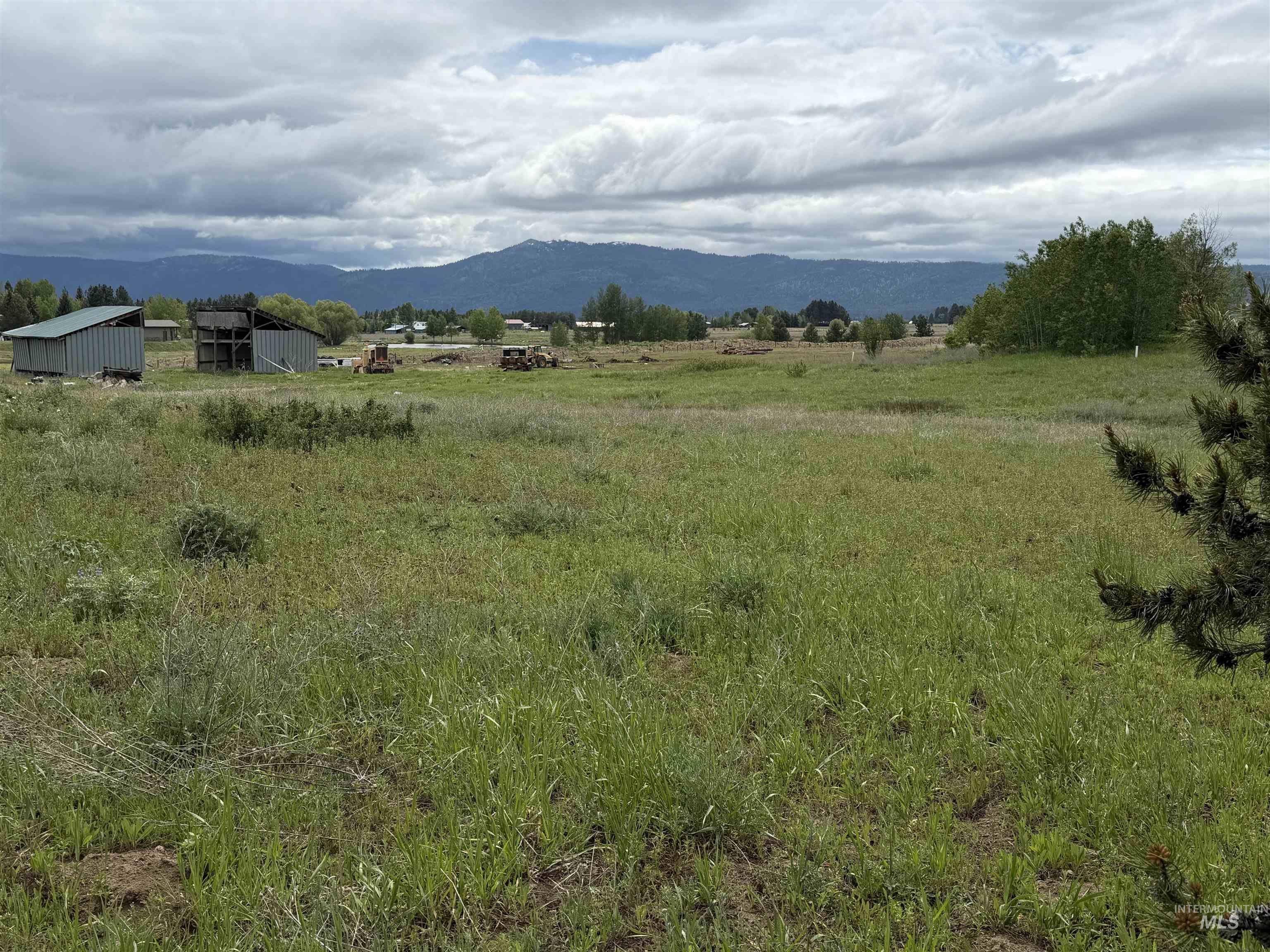 14031 Hwy 55 Property Photo 6