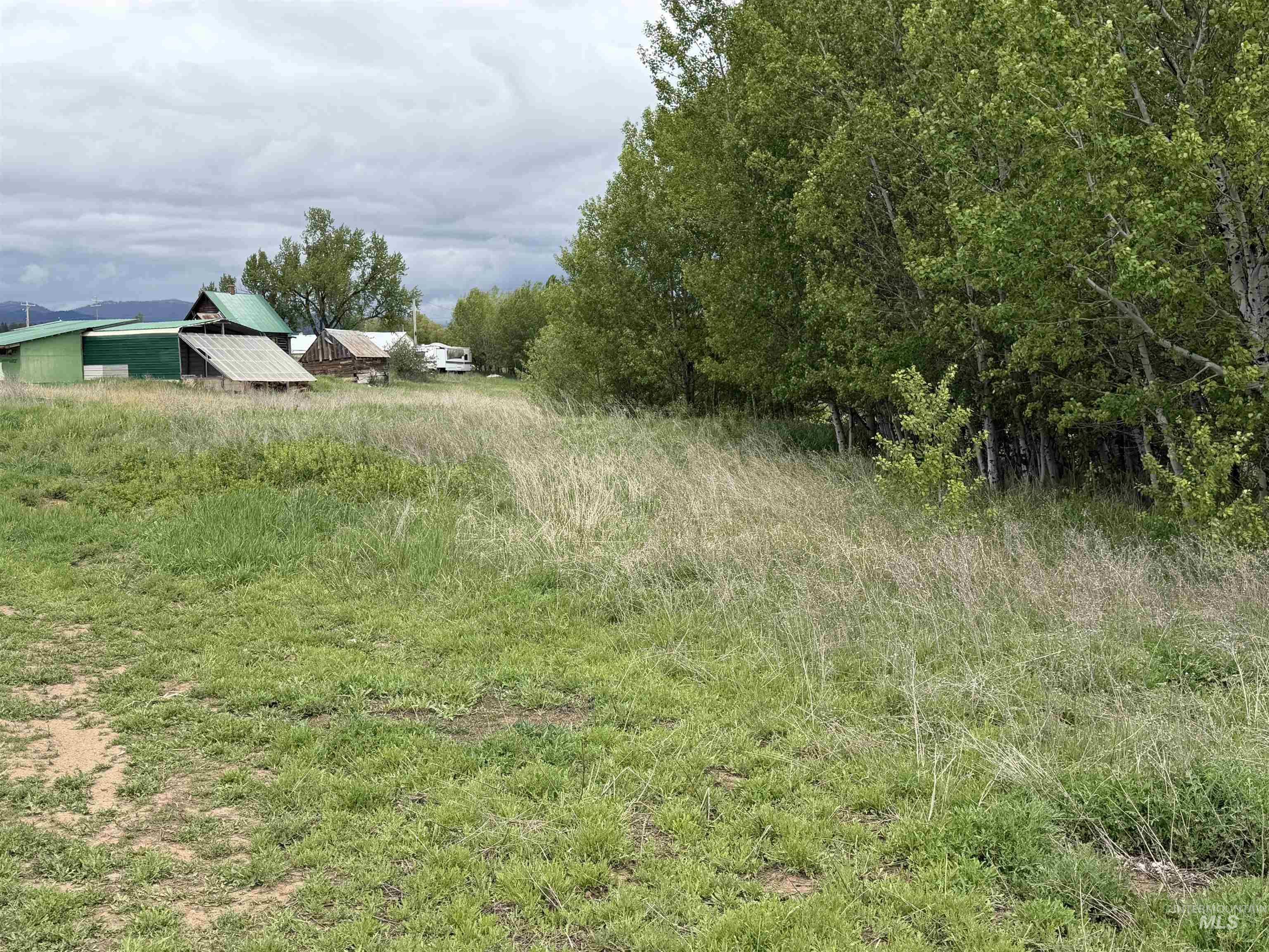 14031 Hwy 55 Property Photo 8