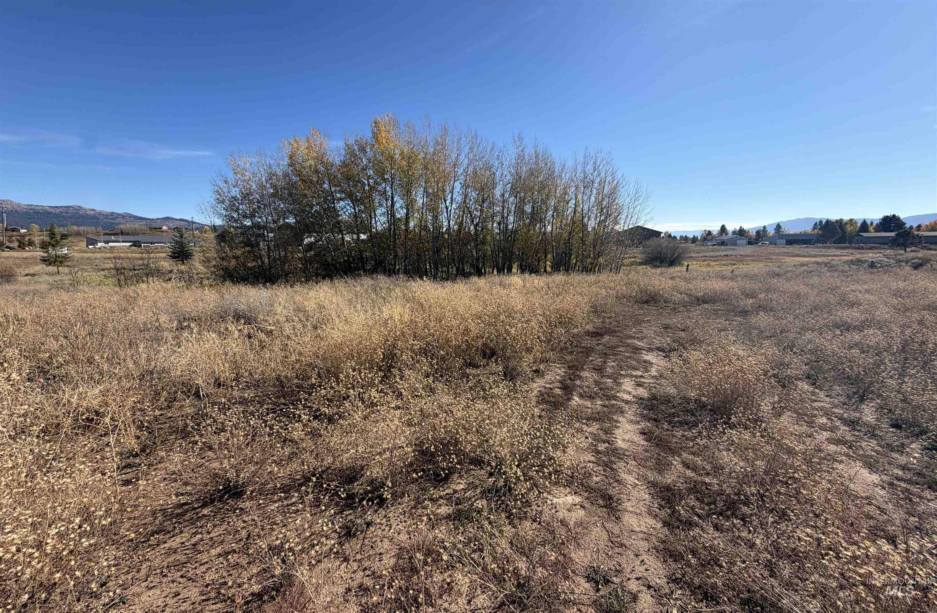 14031 Hwy 55 Property Photo 26