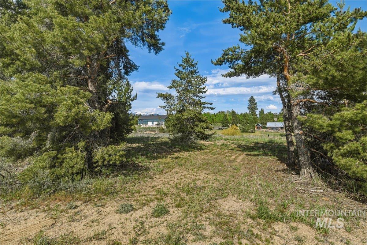 13124 Cameron Dr Property Photo 3