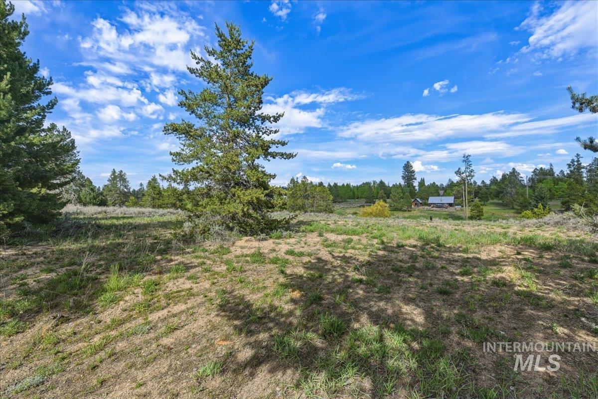 13124 Cameron Dr Property Photo 4