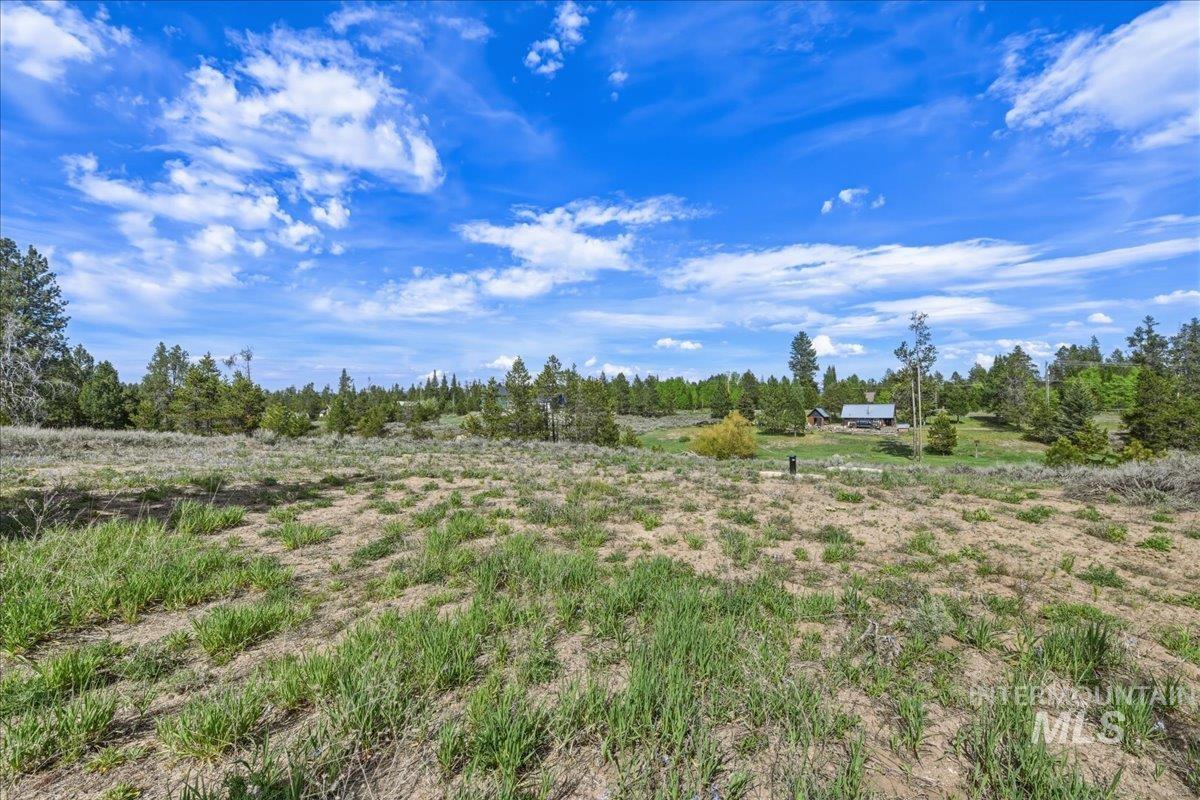 13124 Cameron Dr Property Photo 5