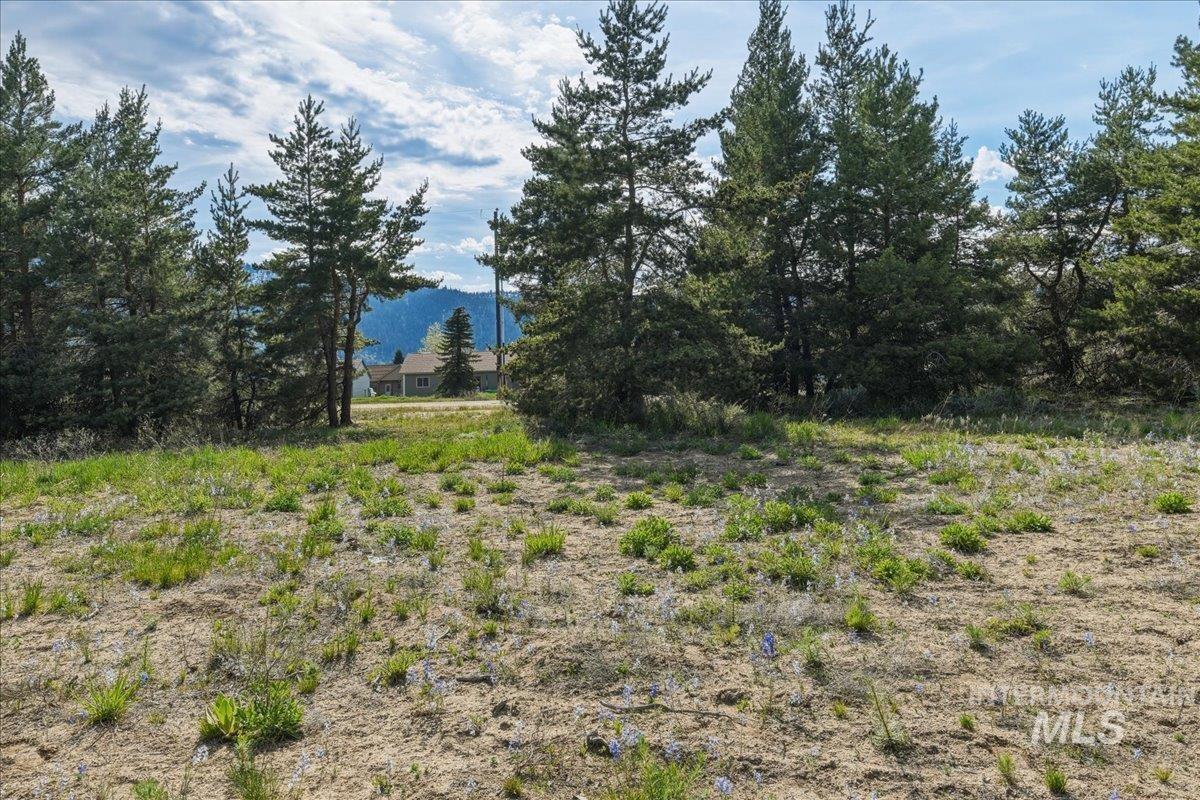 13124 Cameron Dr Property Photo 10