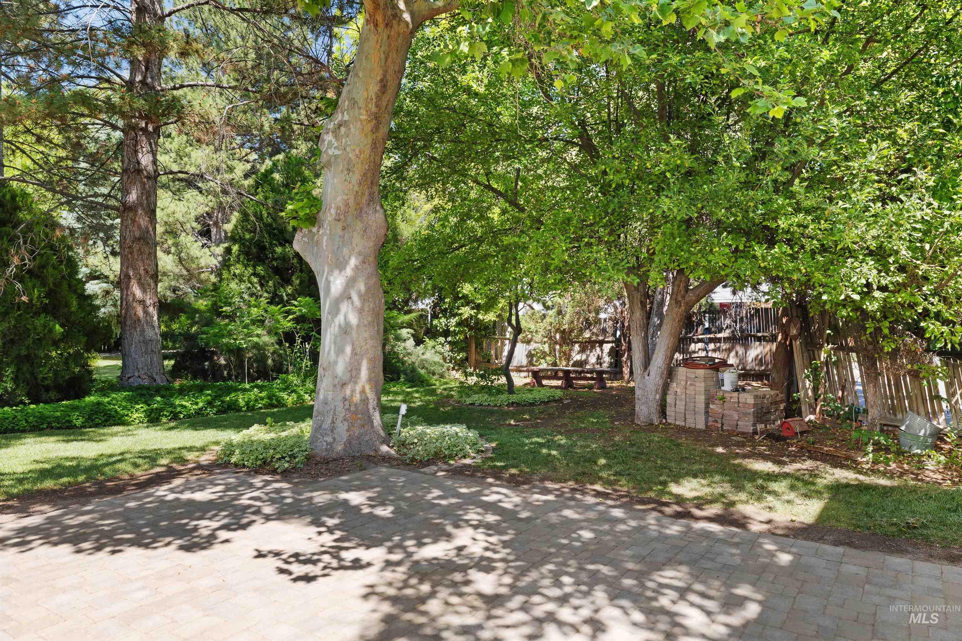 346 Buchanan St. Property Photo 27