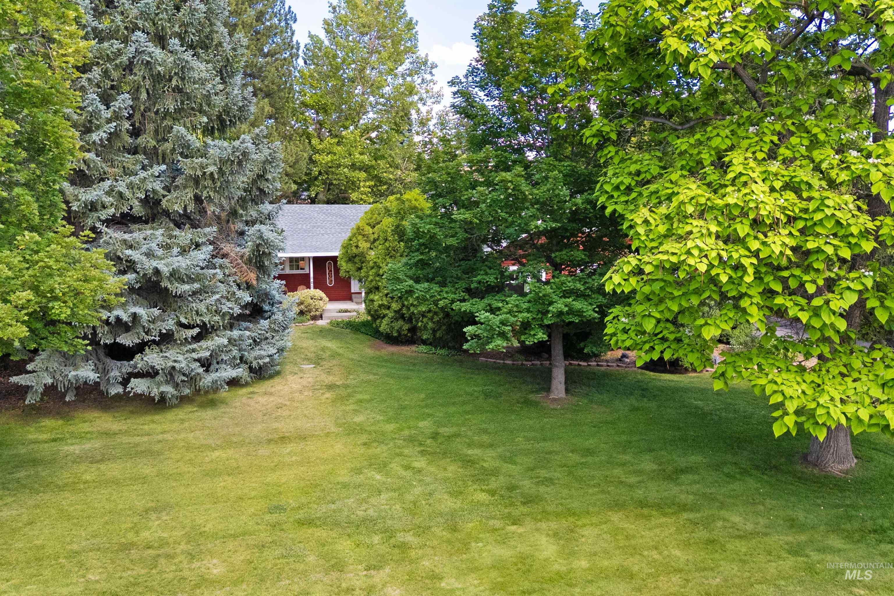 346 Buchanan St. Property Photo 29