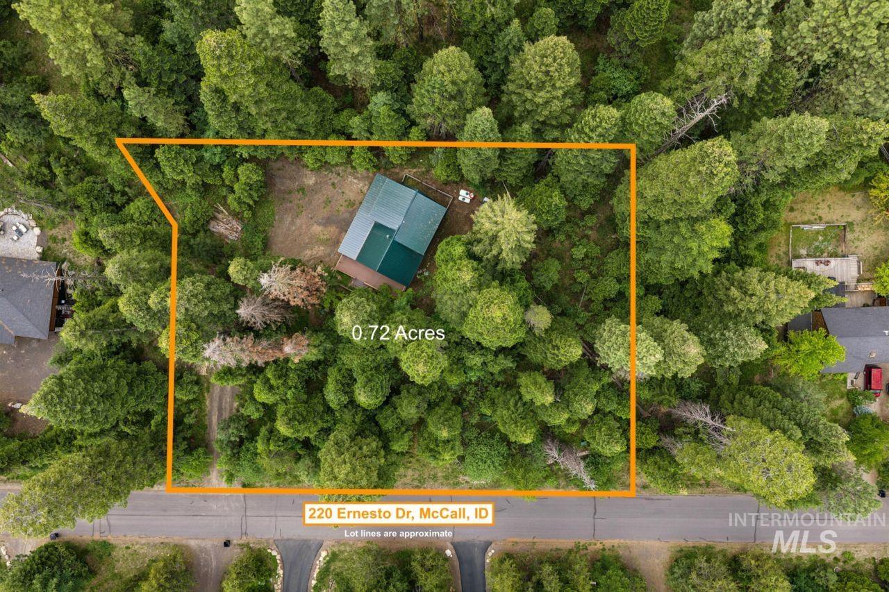 220 Ernesto Property Photo 44