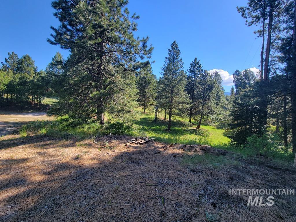 10346 Emma Loop Property Photo 5