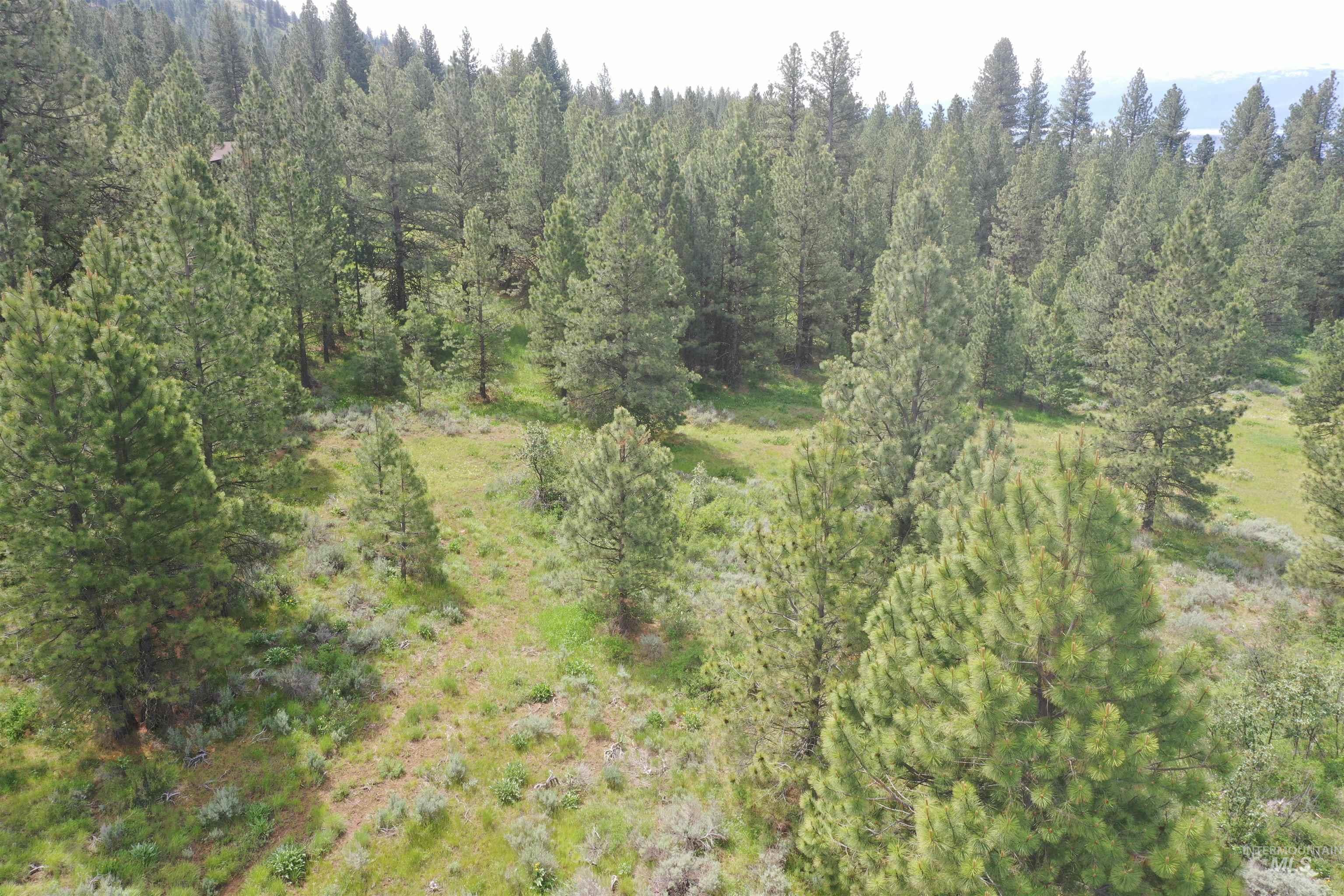Tbd Seubert Lane Property Photo 5