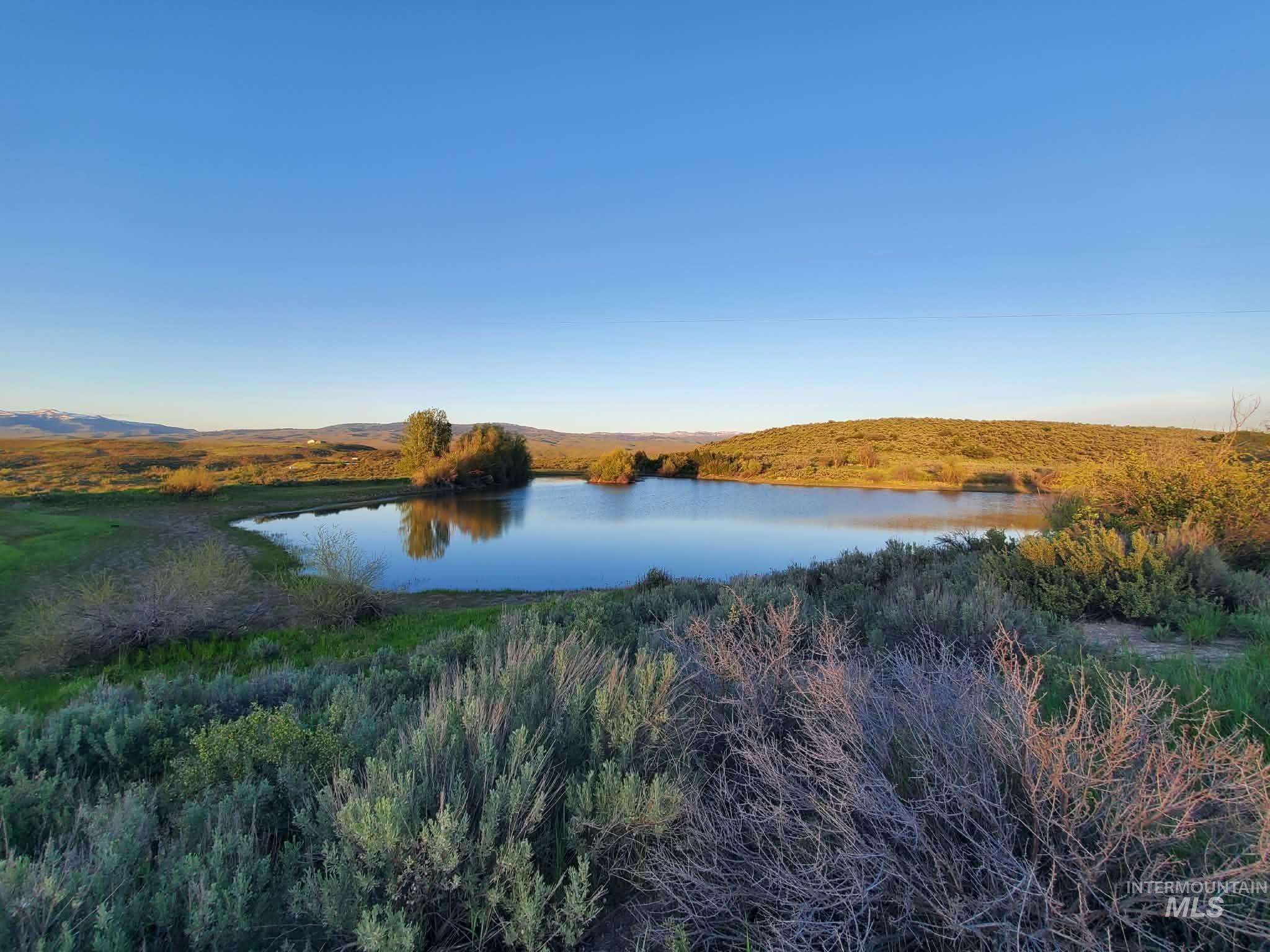 2216 Ben Ross Property Photo 4