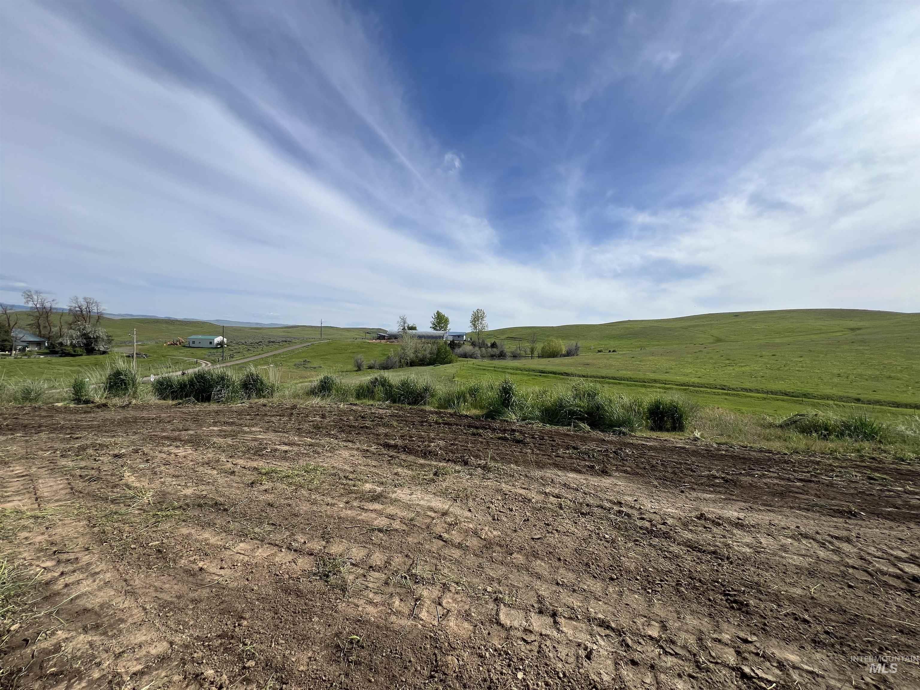 2216 Ben Ross Property Photo 32