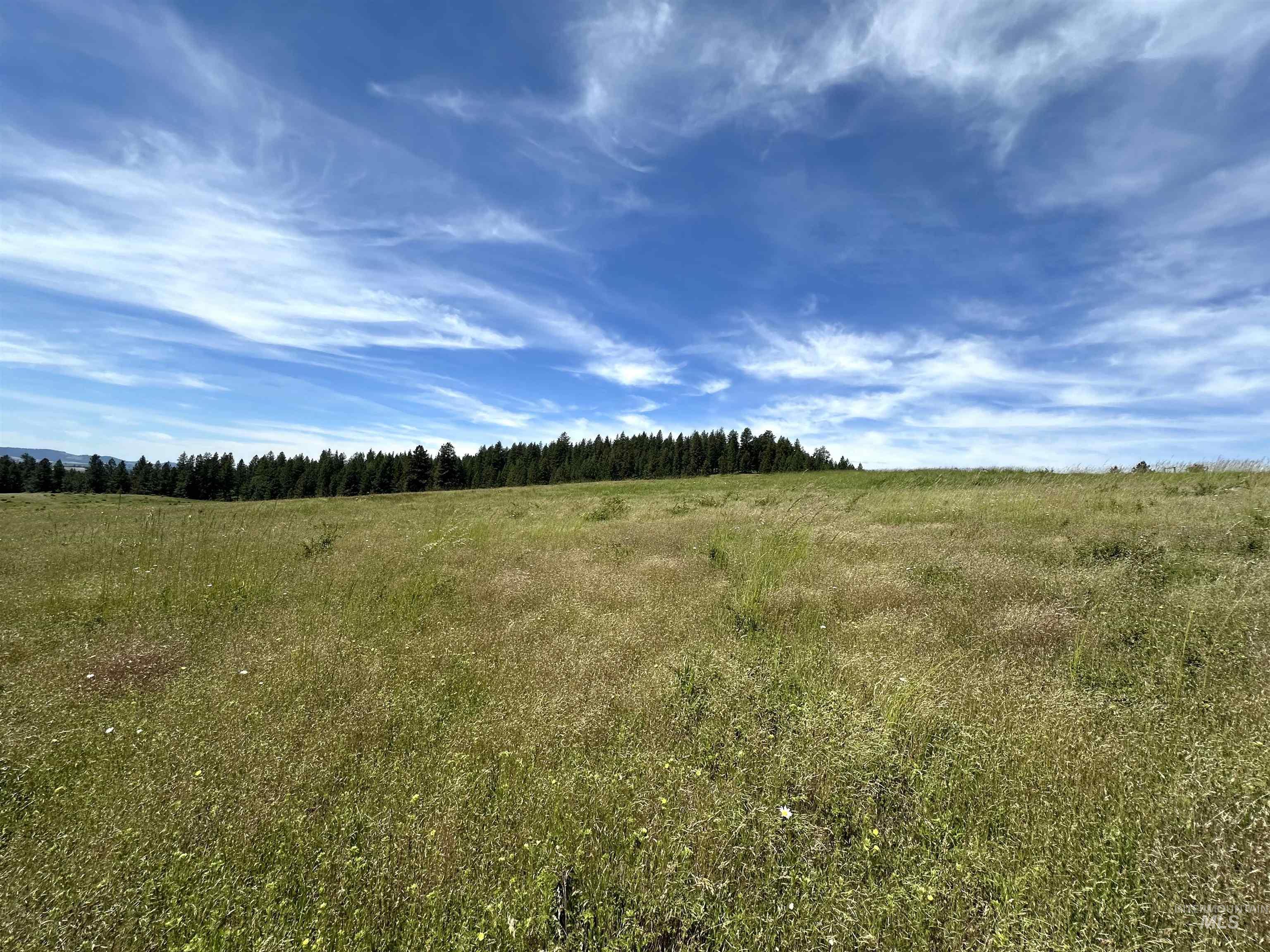 Tbd 10 +/- Ac Gold Hill Property Photo 2