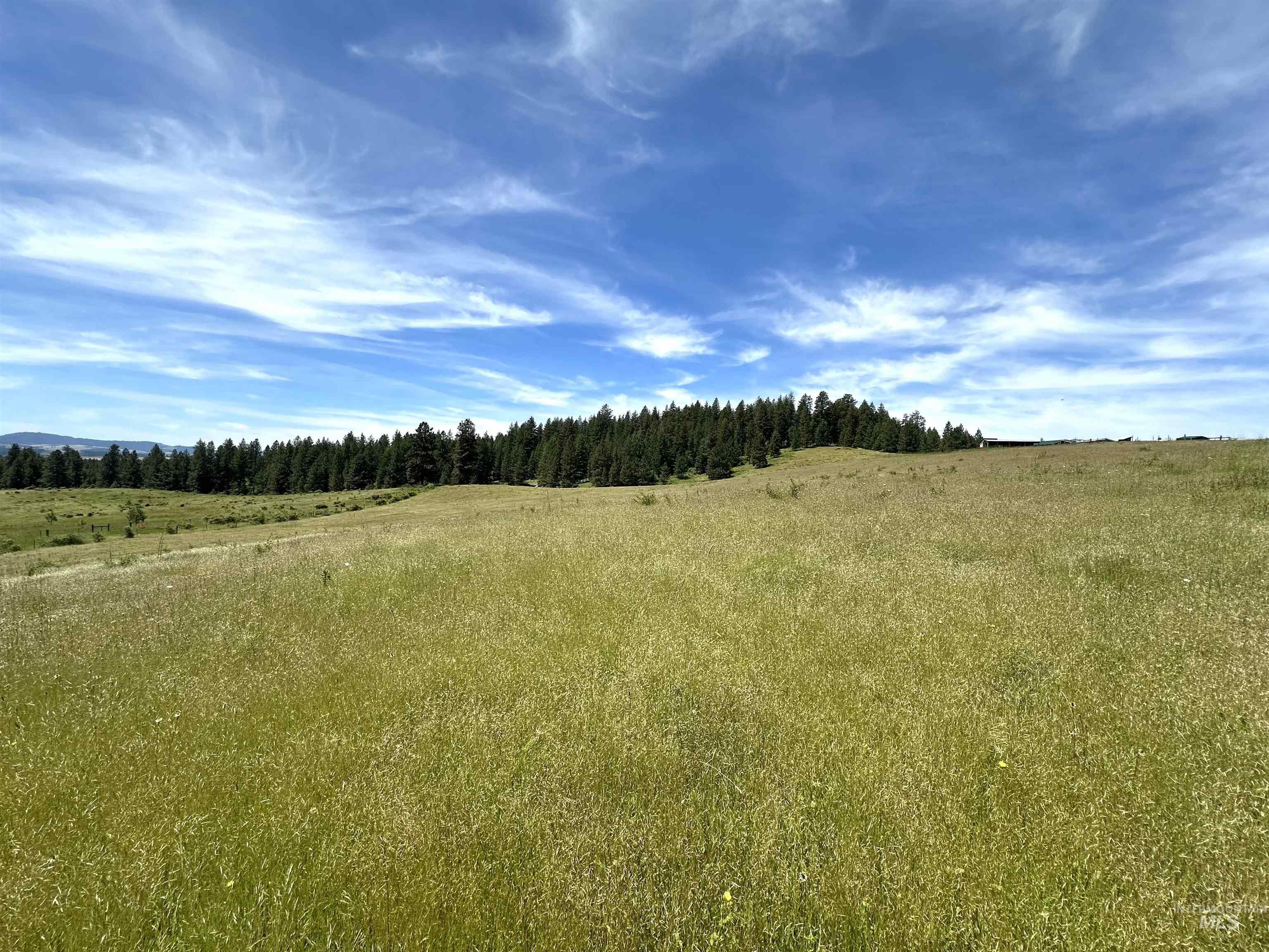 Tbd 10 +/- Ac Gold Hill Property Photo 3