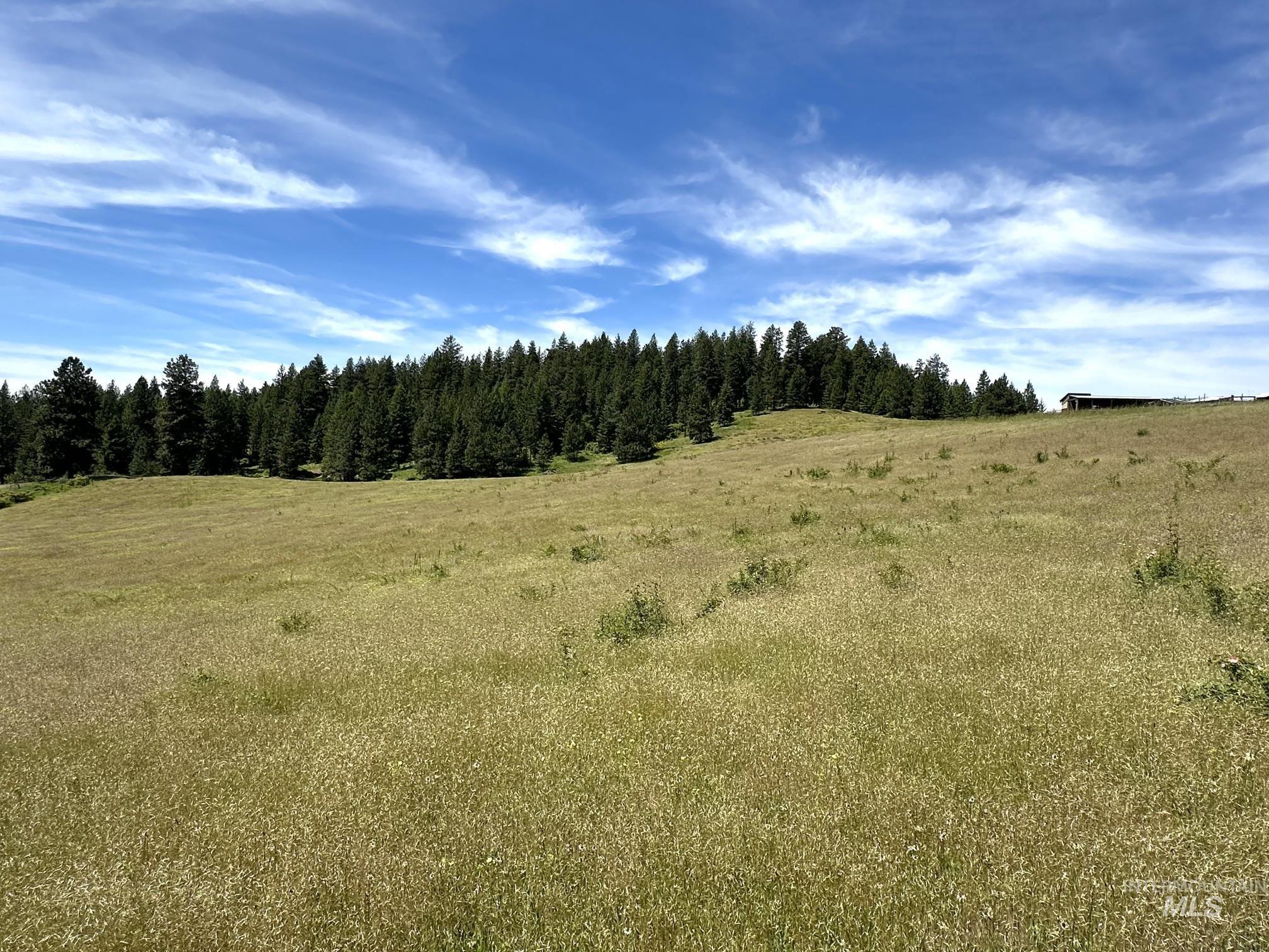 Tbd 10 +/- Ac Gold Hill Property Photo 5