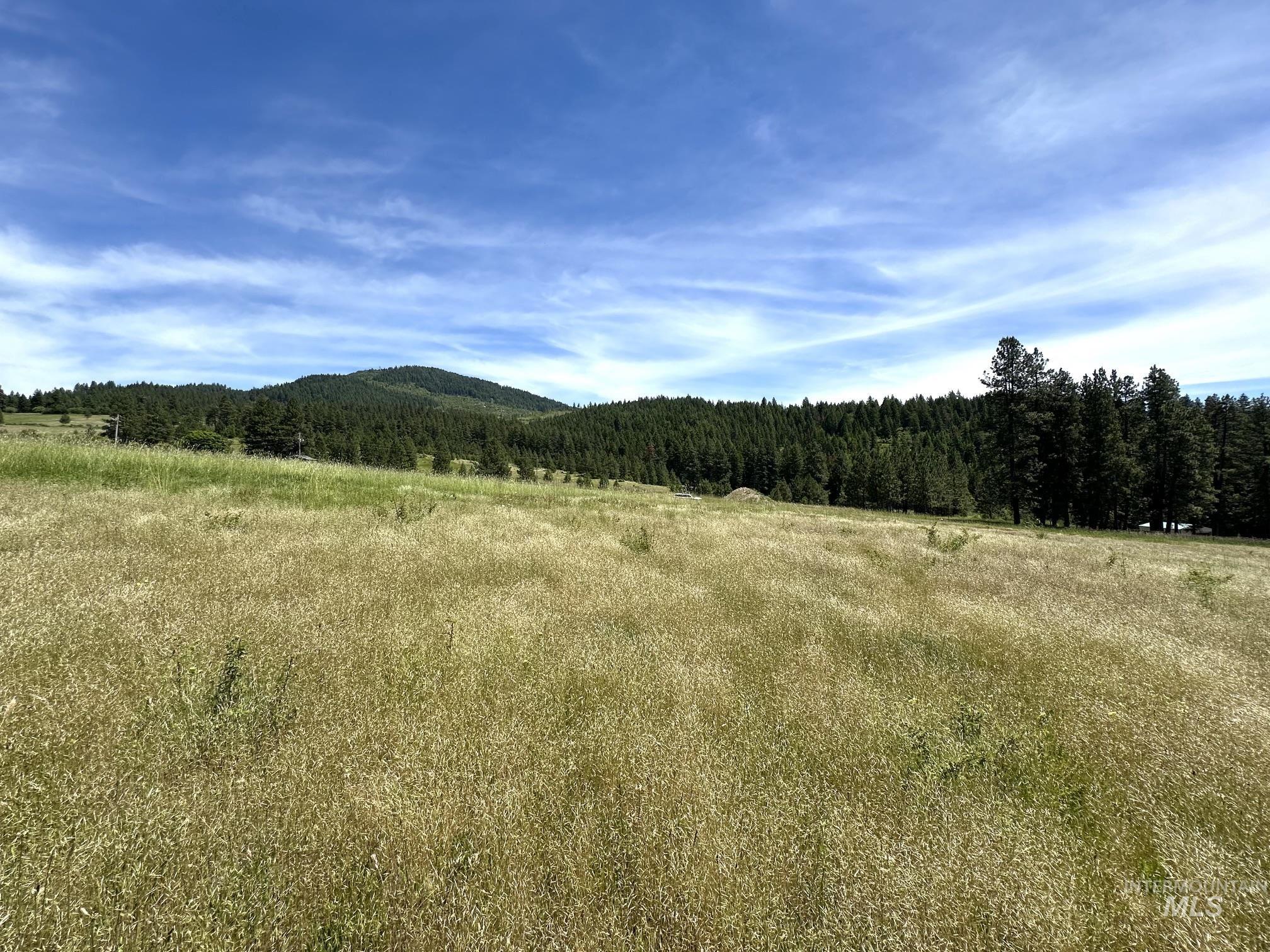 Tbd 10 +/- Ac Gold Hill Property Photo 7